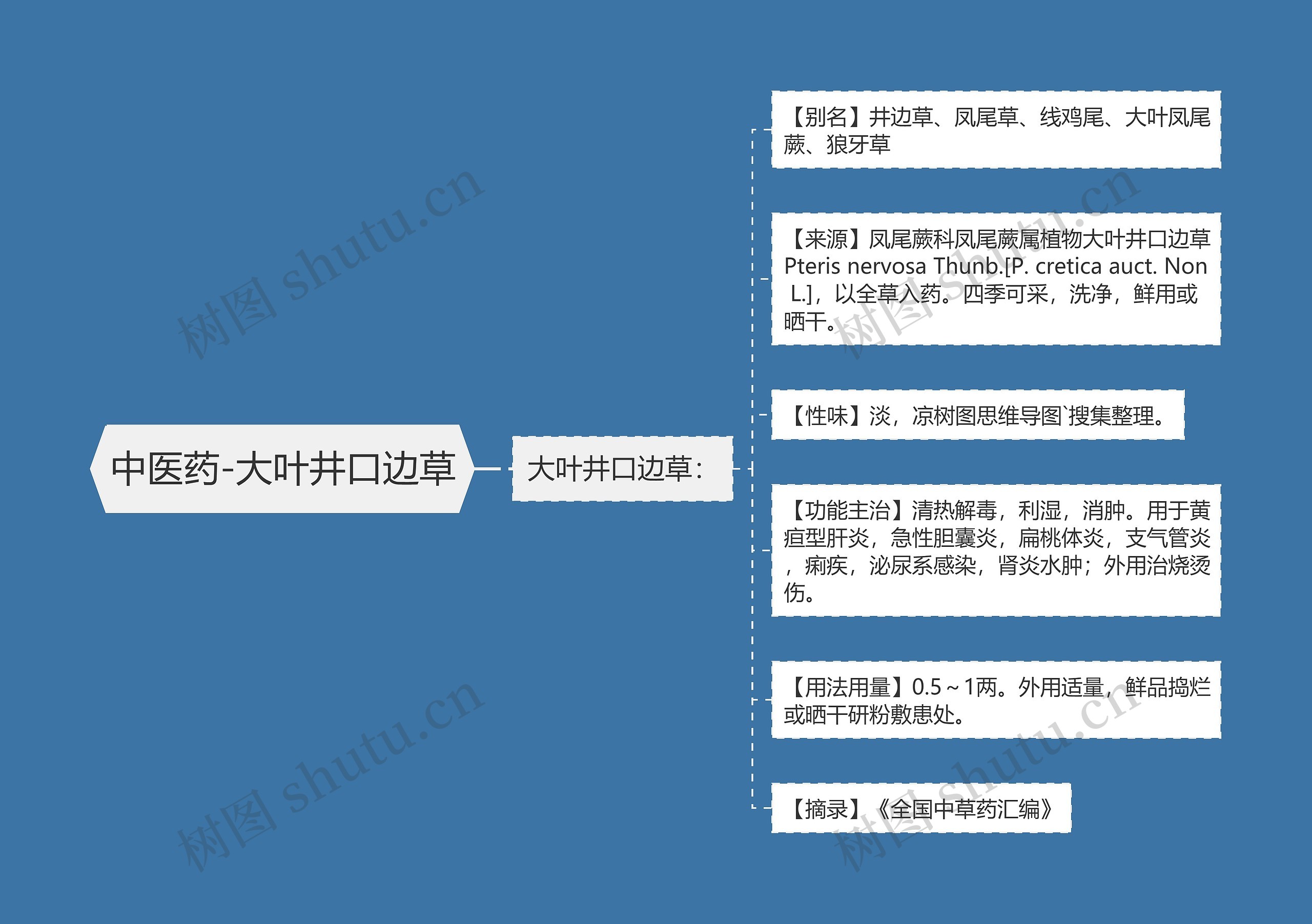 中医药-大叶井口边草思维导图