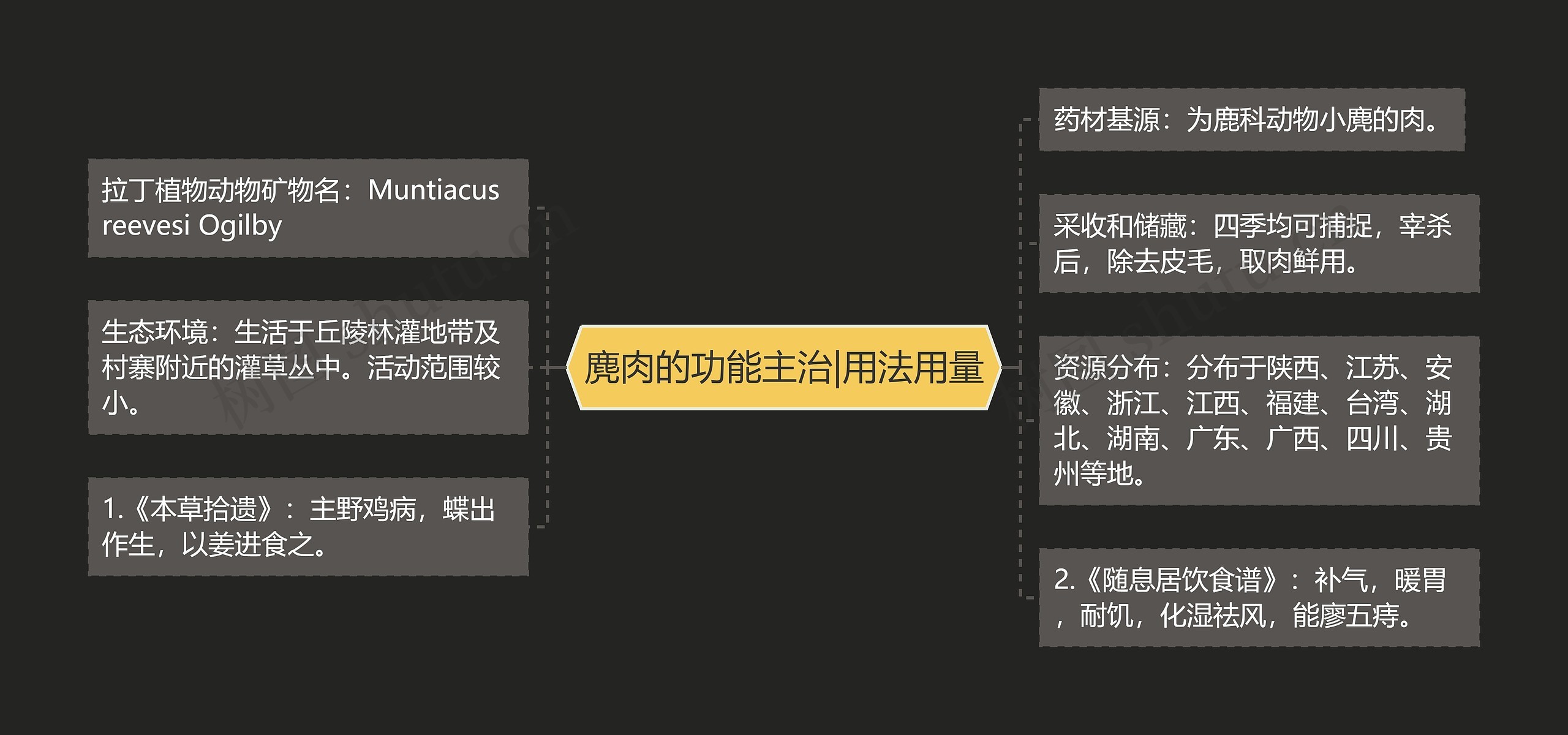 麂肉的功能主治|用法用量思维导图