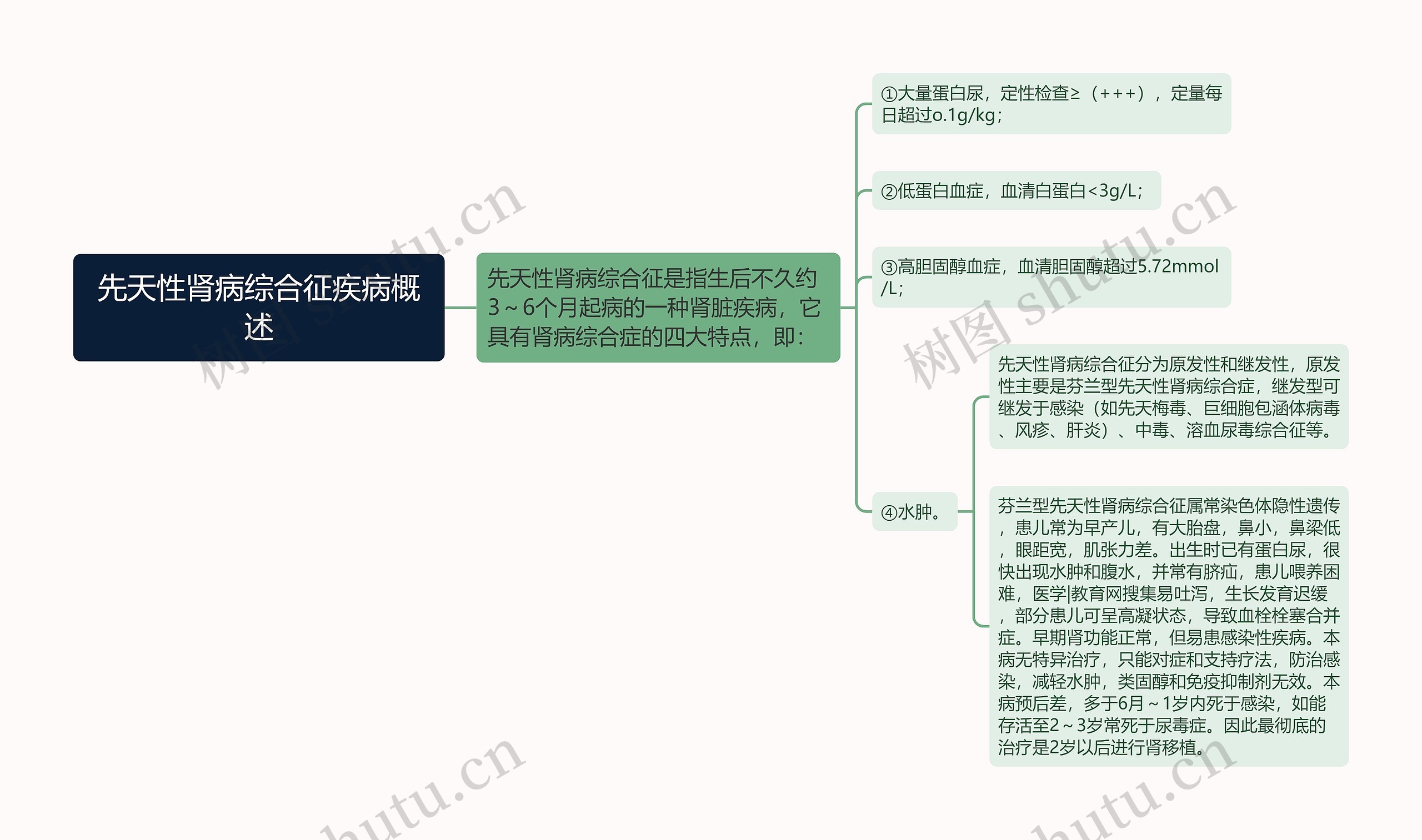 先天性肾病综合征疾病概述