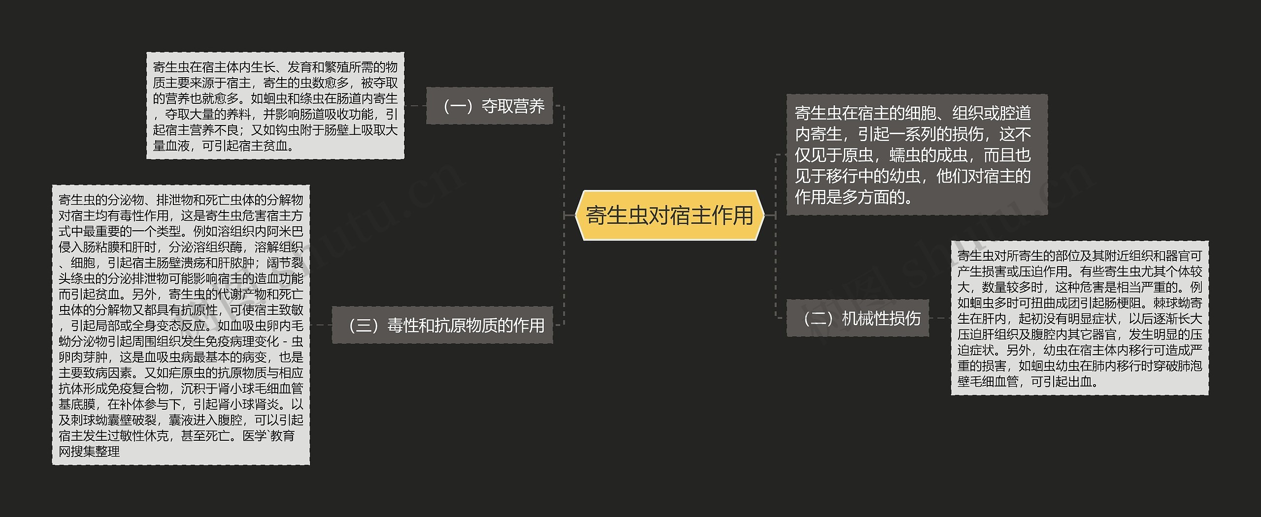 寄生虫对宿主作用思维导图