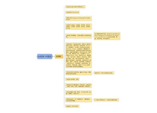 古钮菜-中医药