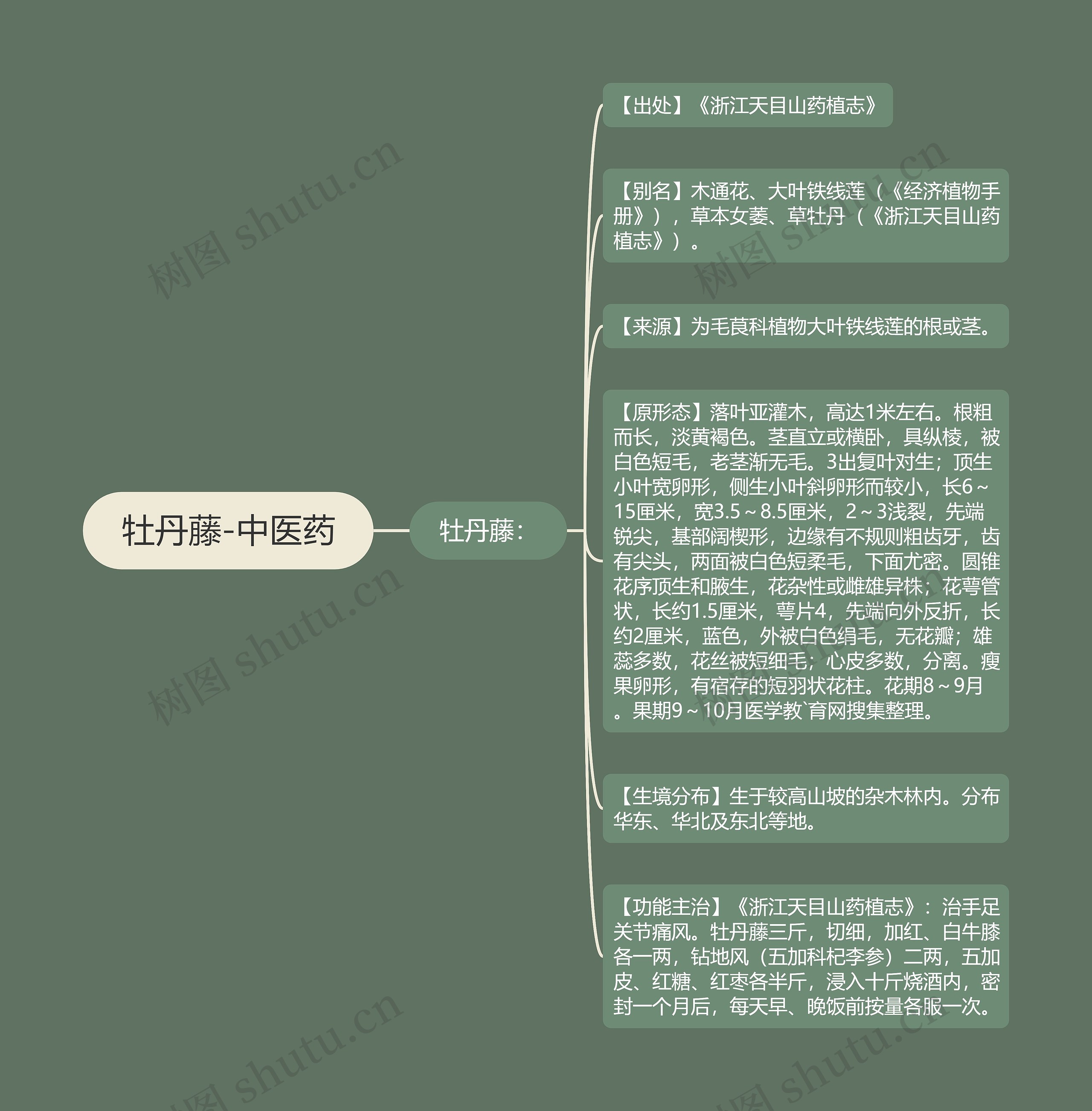 牡丹藤-中医药 牡丹藤-中医药