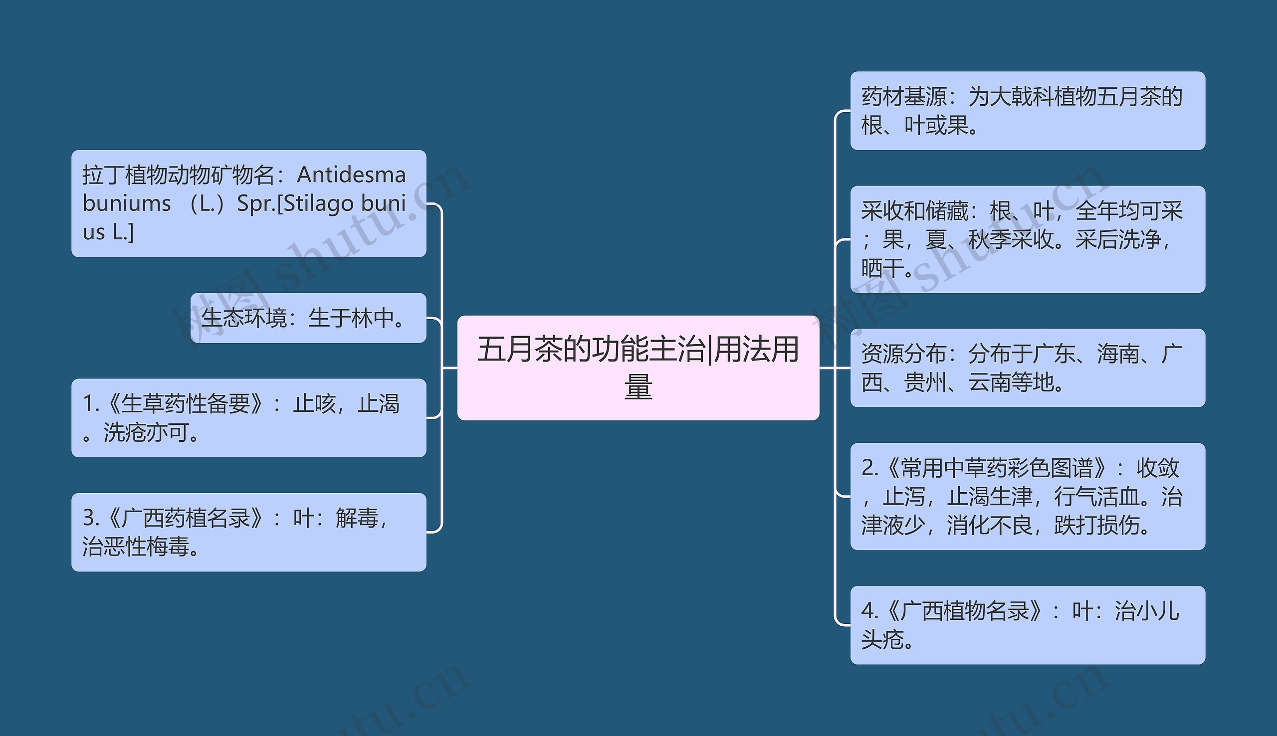 五月茶的功能主治|用法用量思维导图