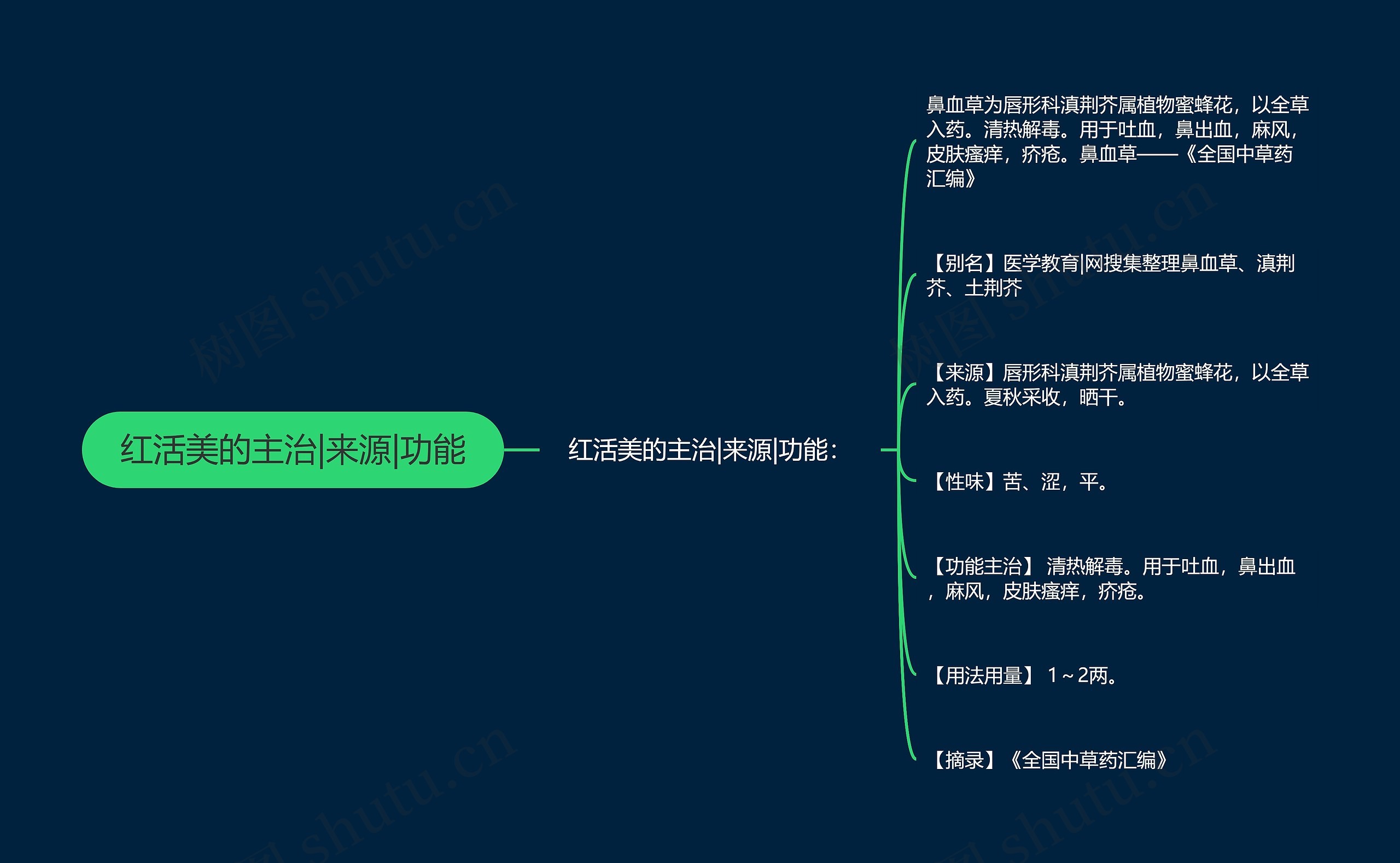 红活美的主治|来源|功能