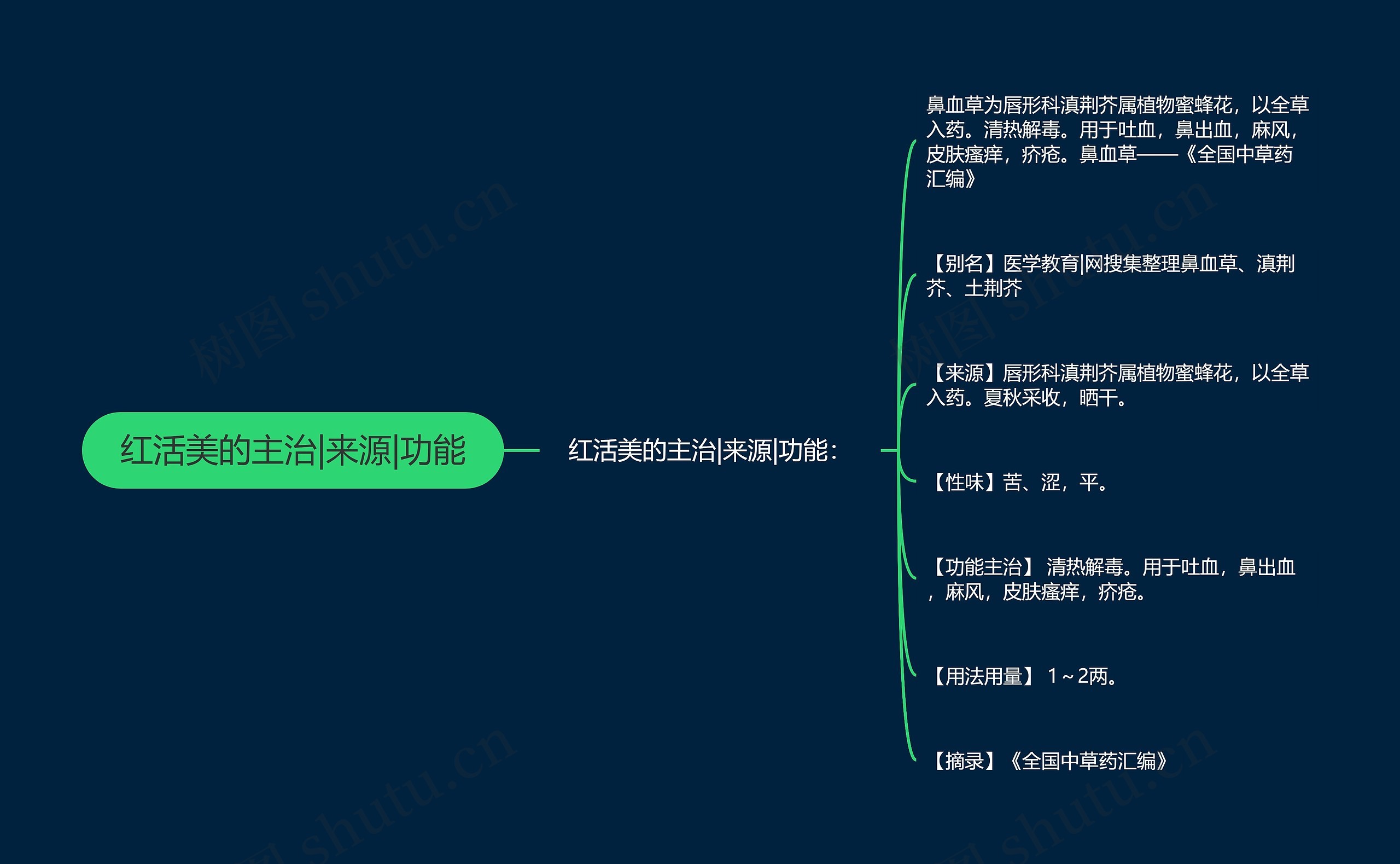 红活美的主治|来源|功能思维导图