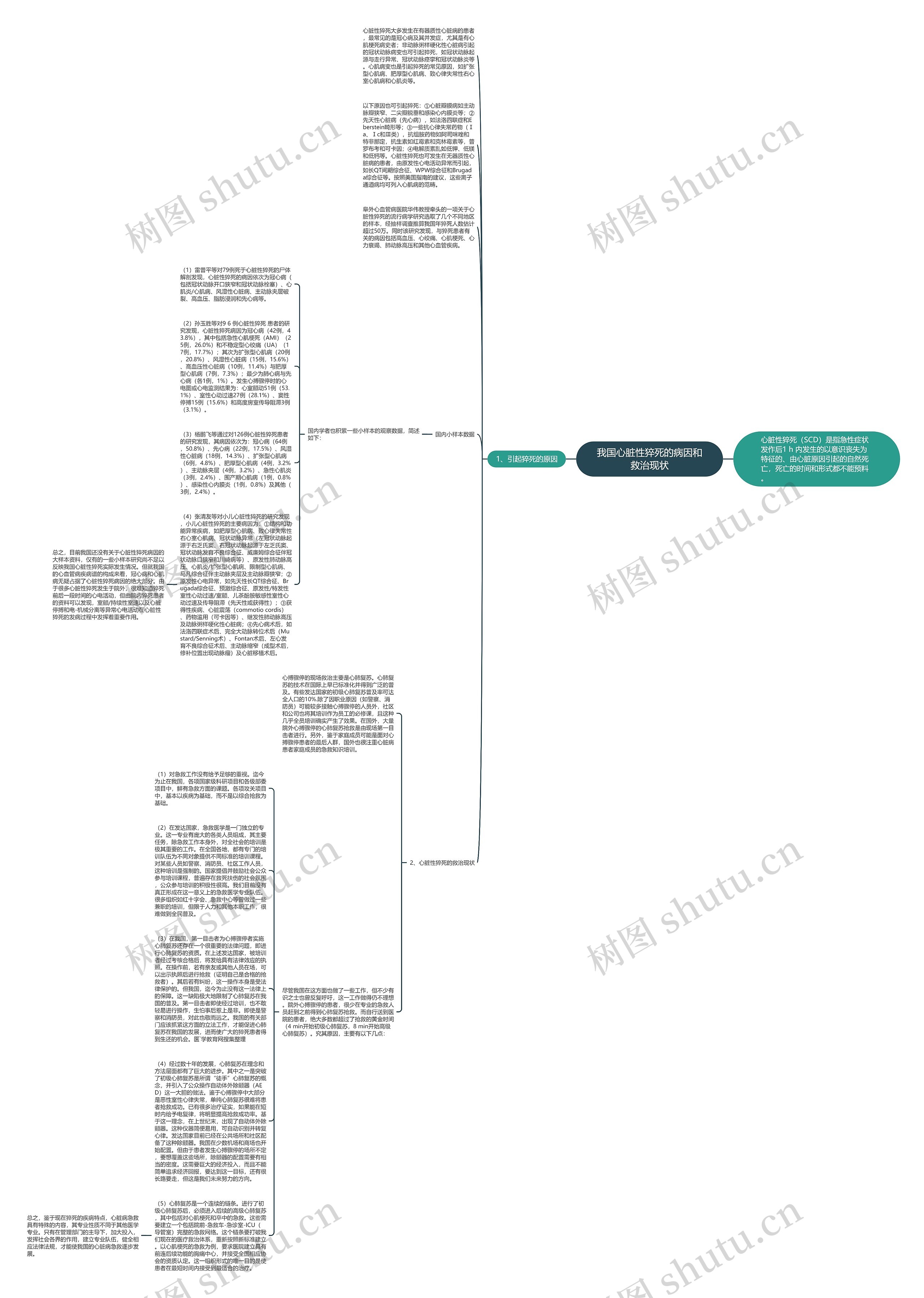 我国心脏性猝死的病因和救治现状思维导图