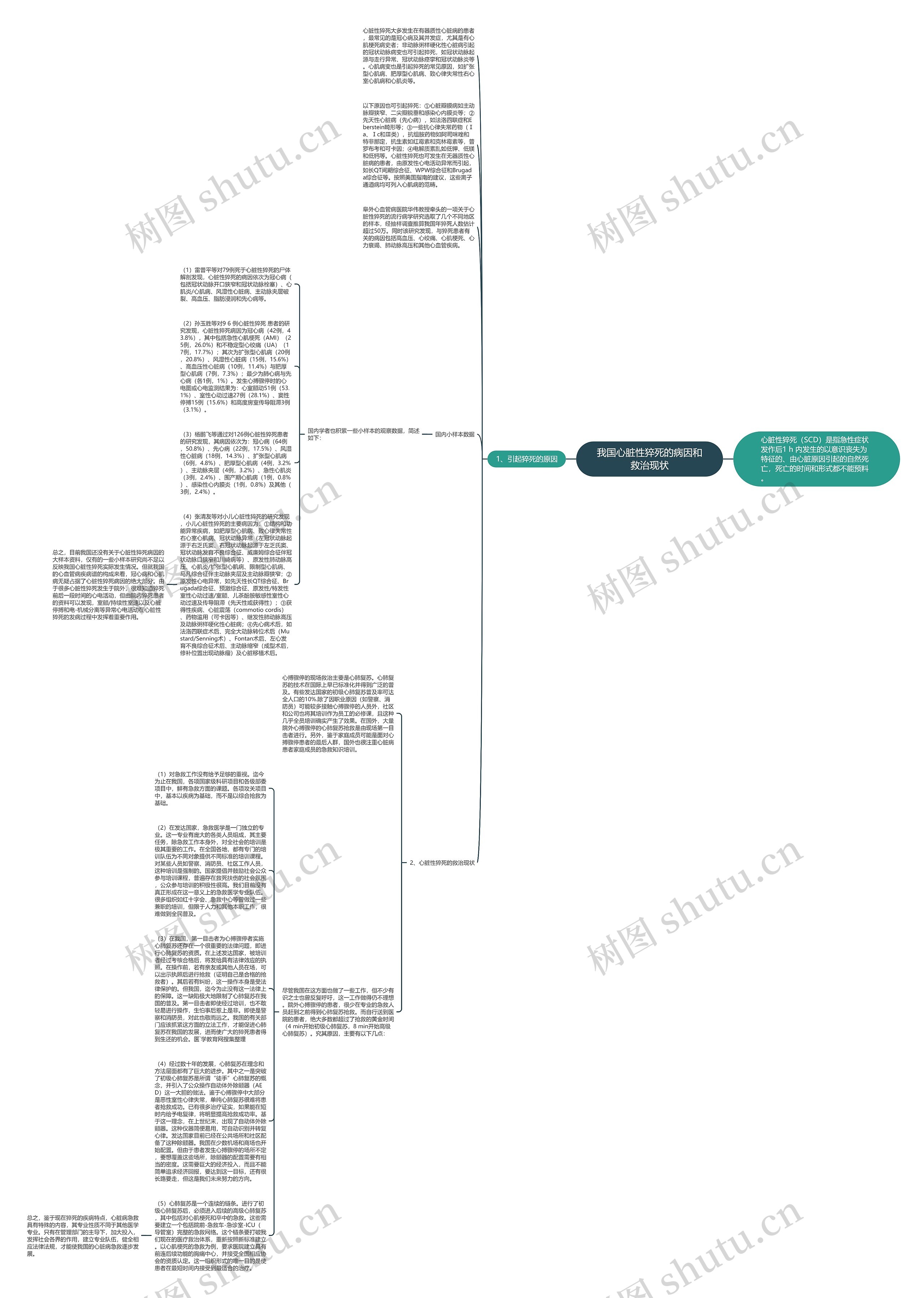我国心脏性猝死的病因和救治现状思维导图高清图 我国心脏性猝死的病因和救治现状思维导图