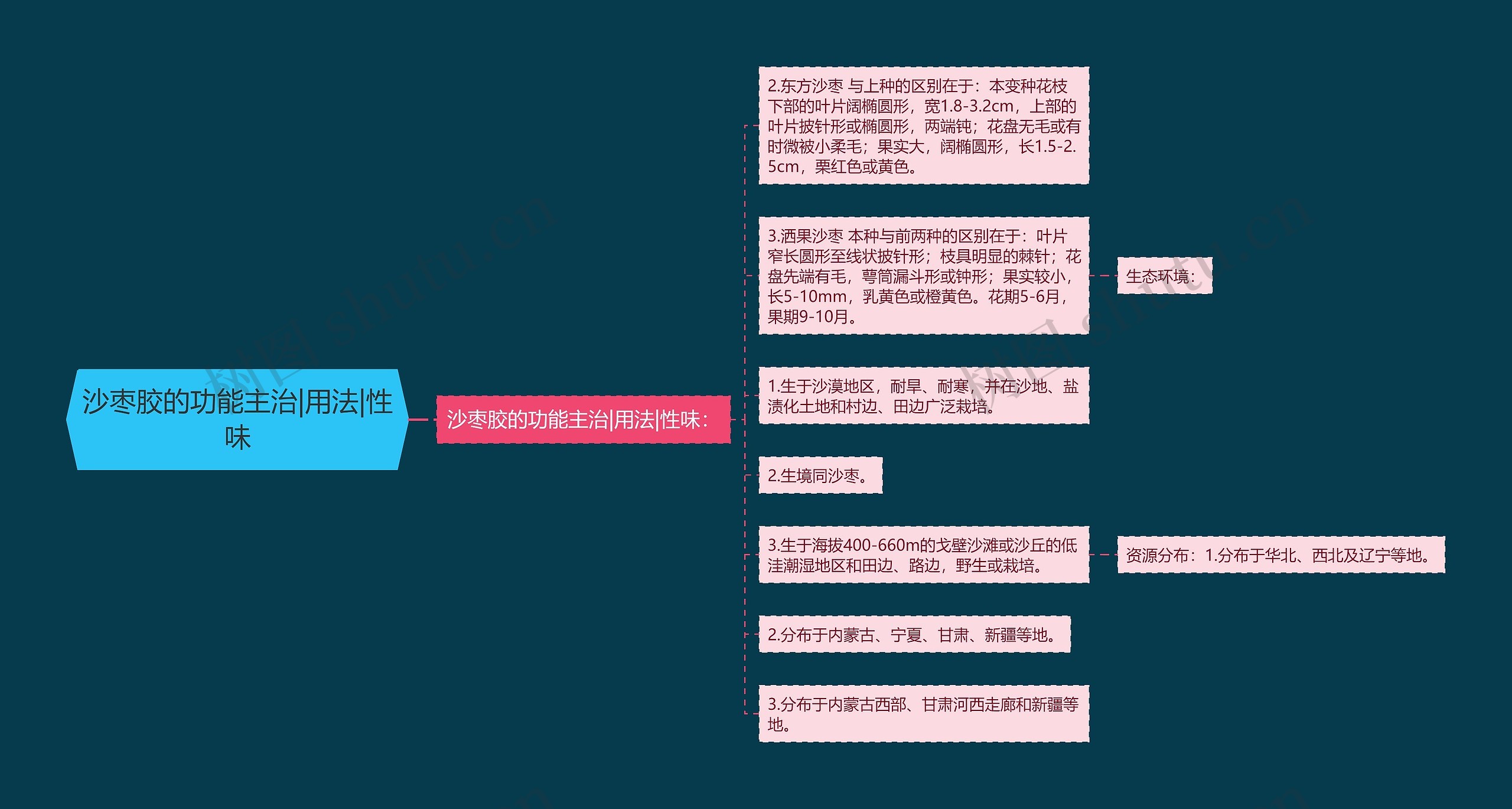 沙枣胶的功能主治|用法|性味思维导图