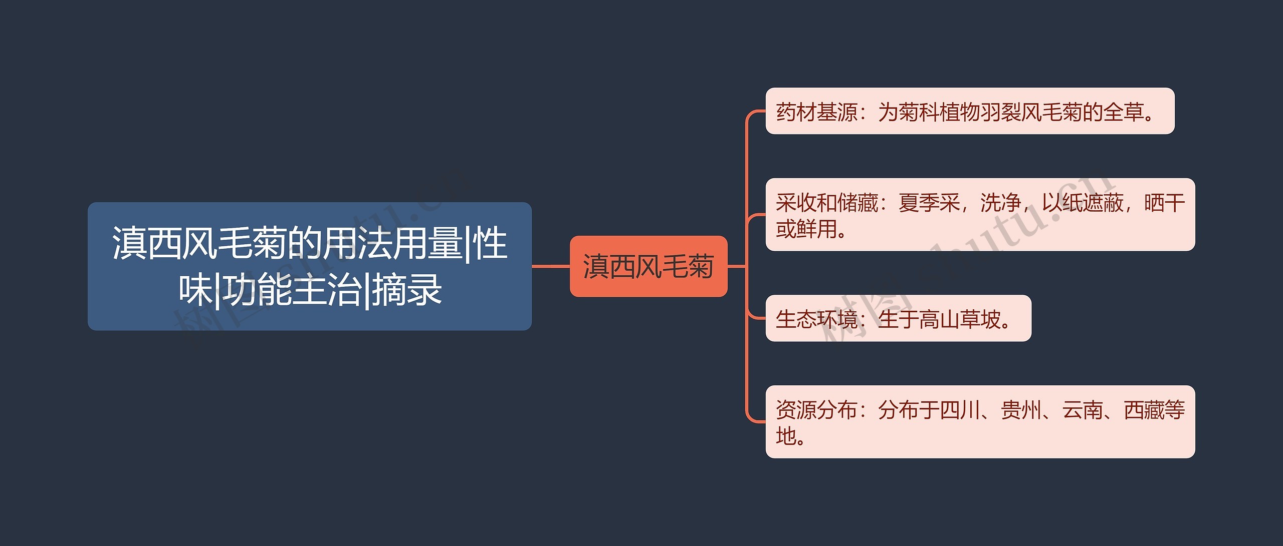 滇西风毛菊的用法用量|性味|功能主治|摘录思维导图