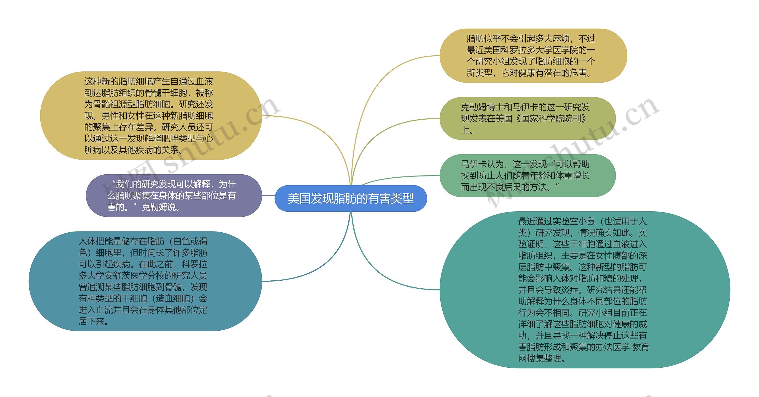 美国发现脂肪的有害类型思维导图