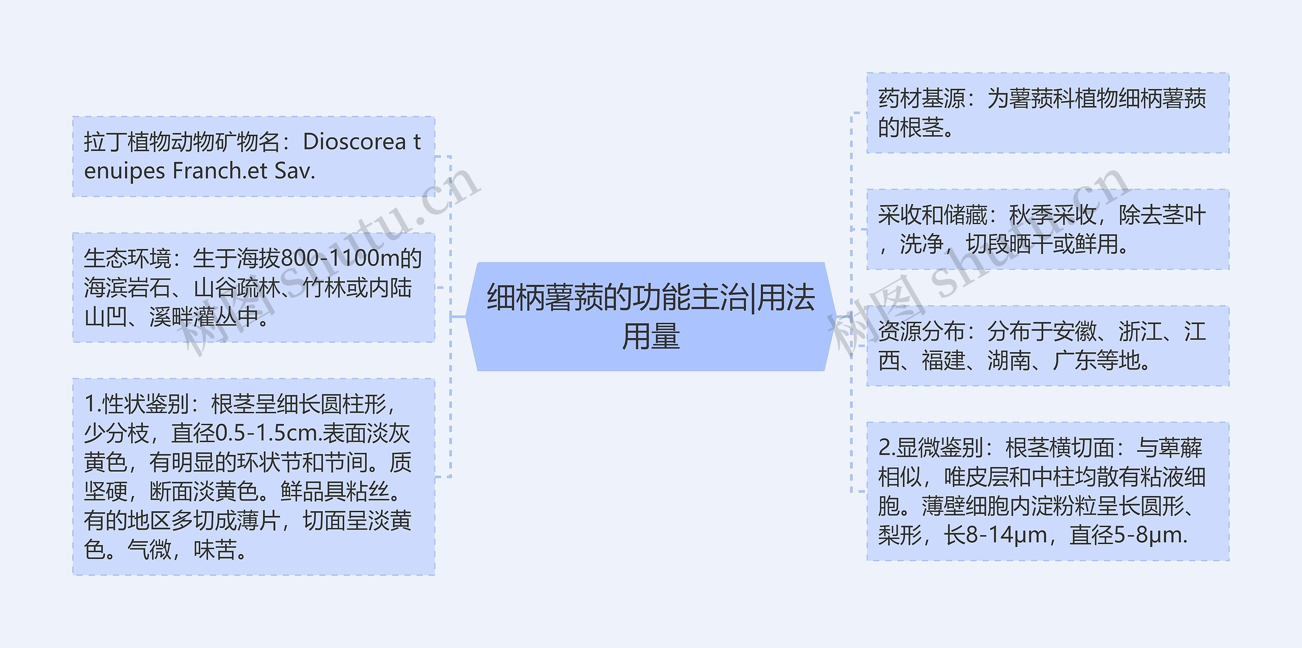 细柄薯蓣的功能主治|用法用量思维导图