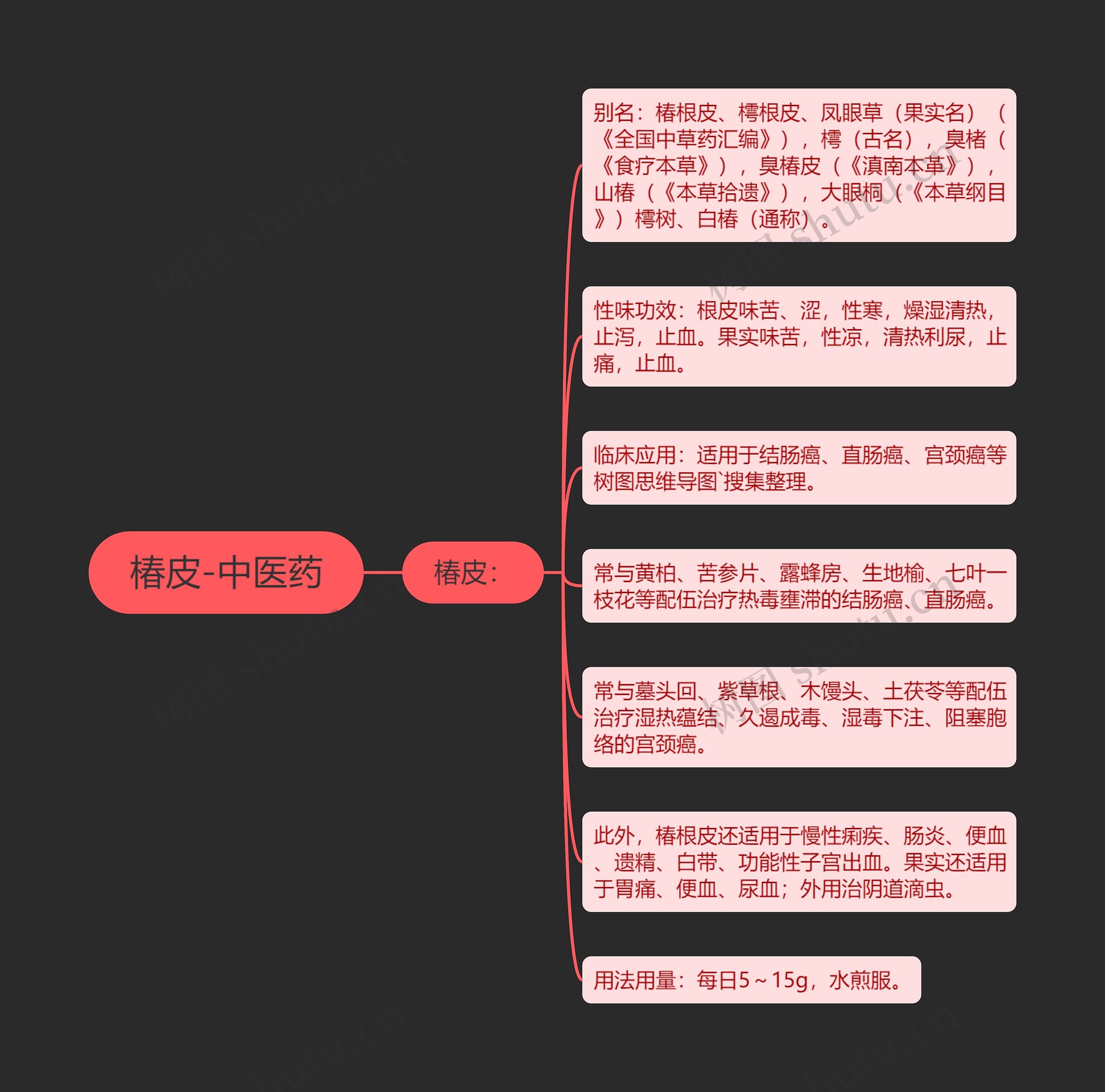 椿皮-中医药 椿皮-中医药