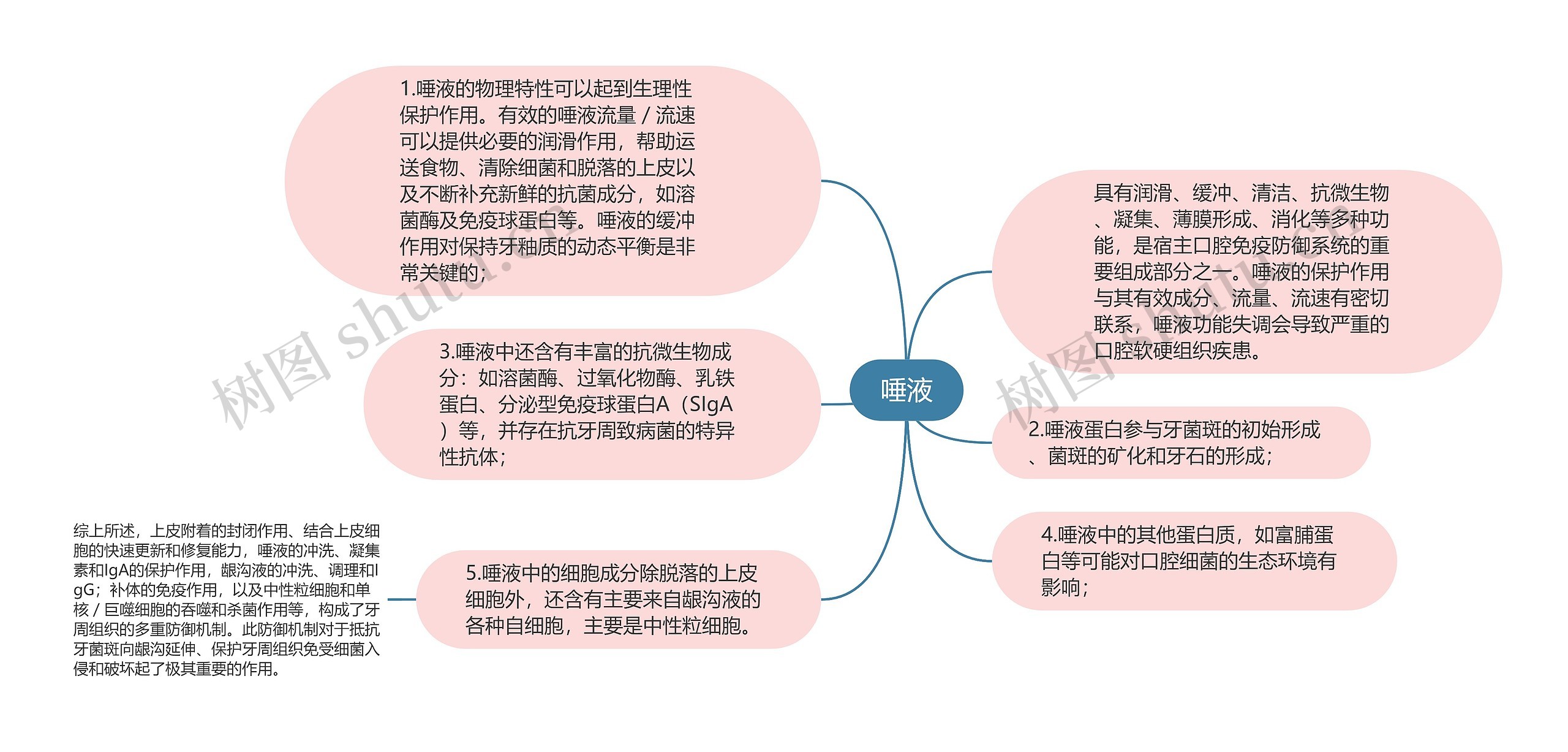 唾液思维导图