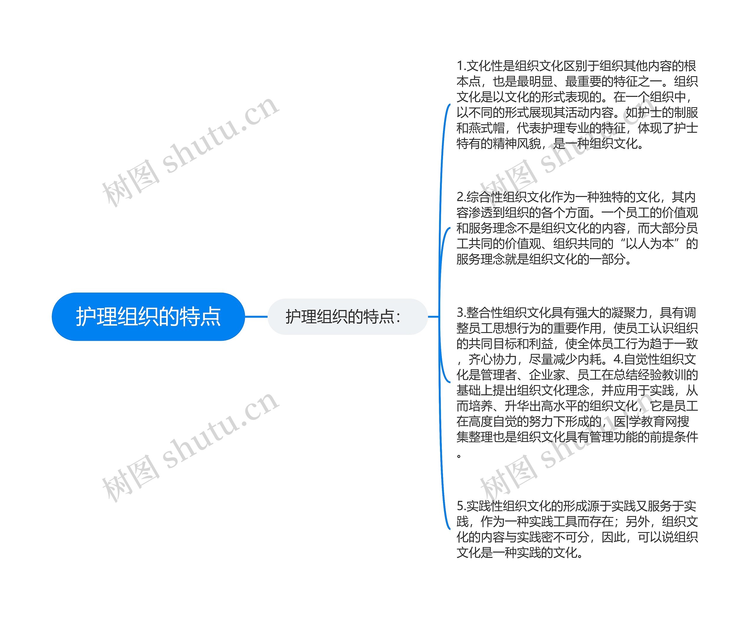 护理组织的特点思维导图