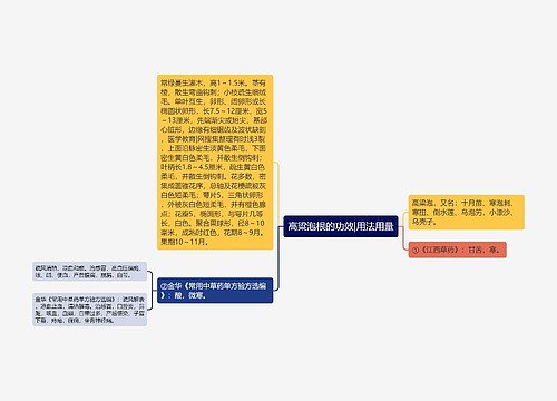 高粱泡根的功效|用法用量