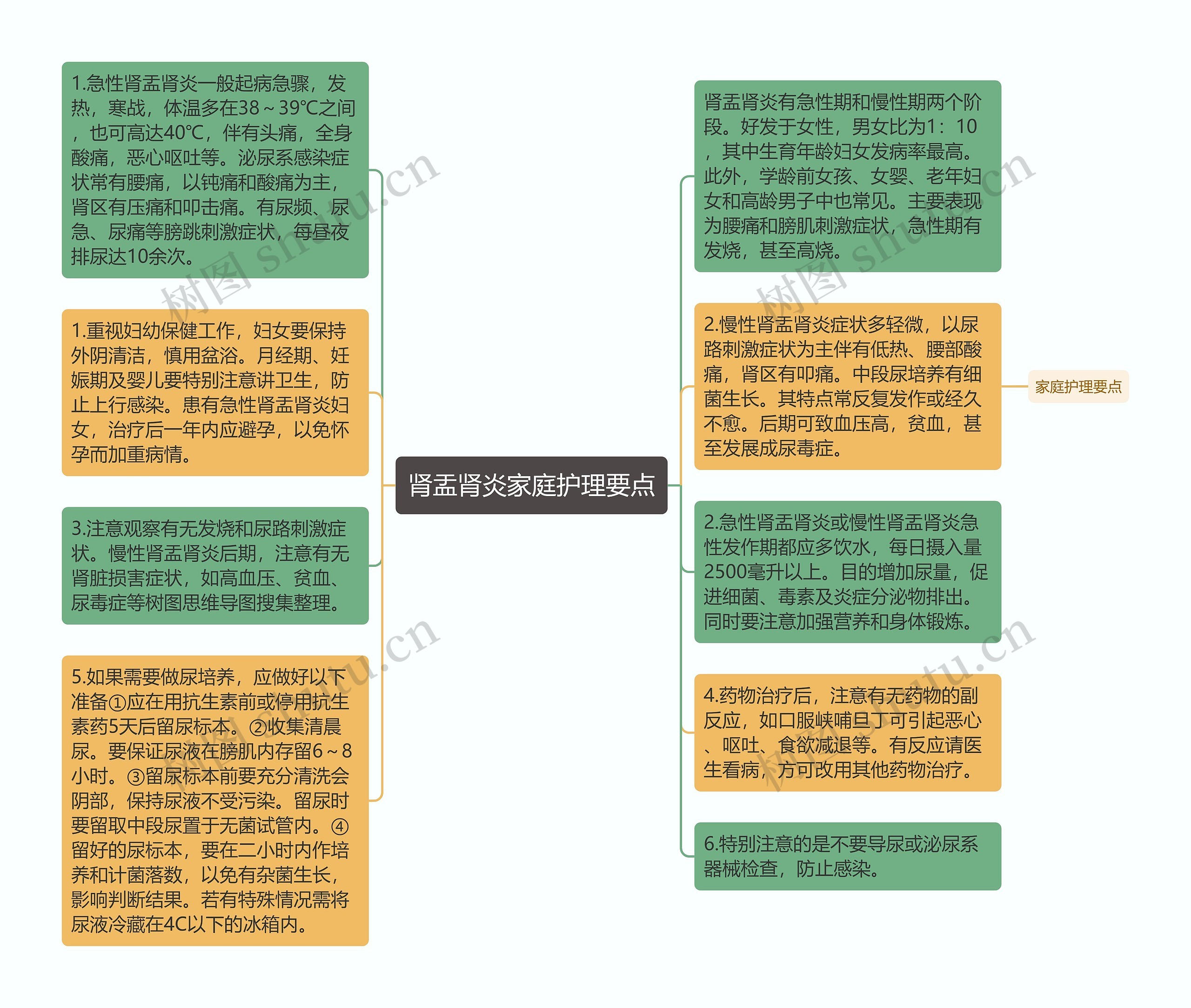 肾盂肾炎家庭护理要点