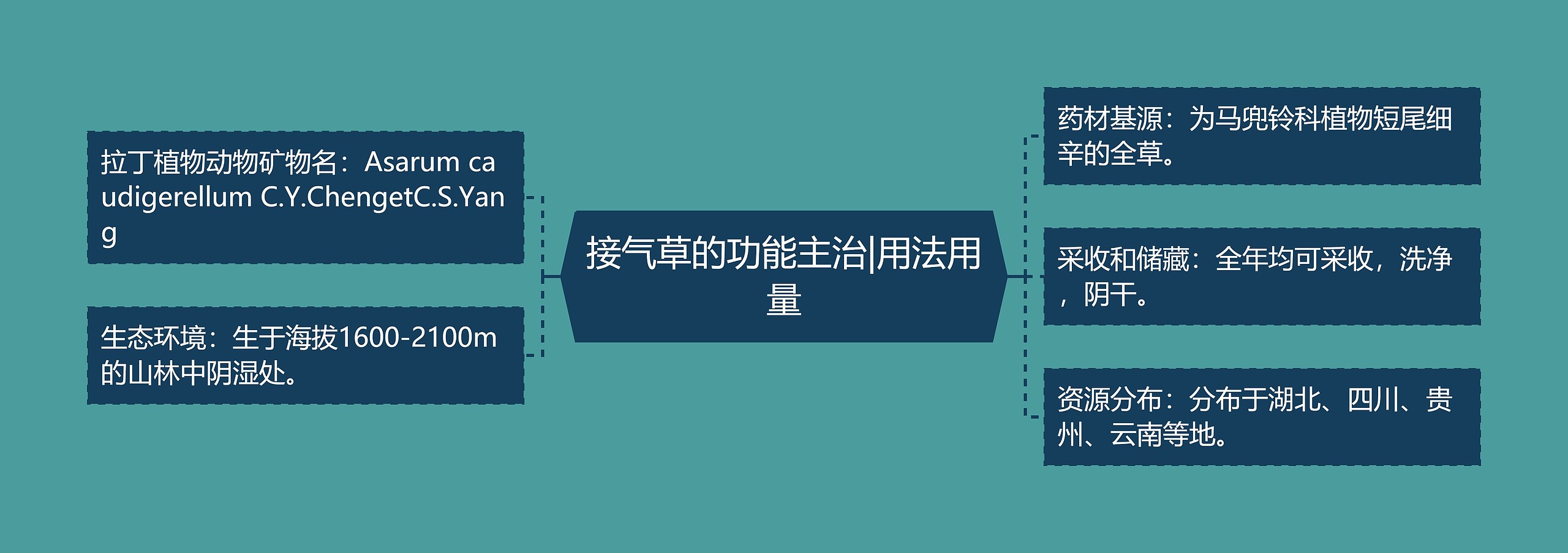 接气草的功能主治|用法用量 接气草的功能主治|用法用量