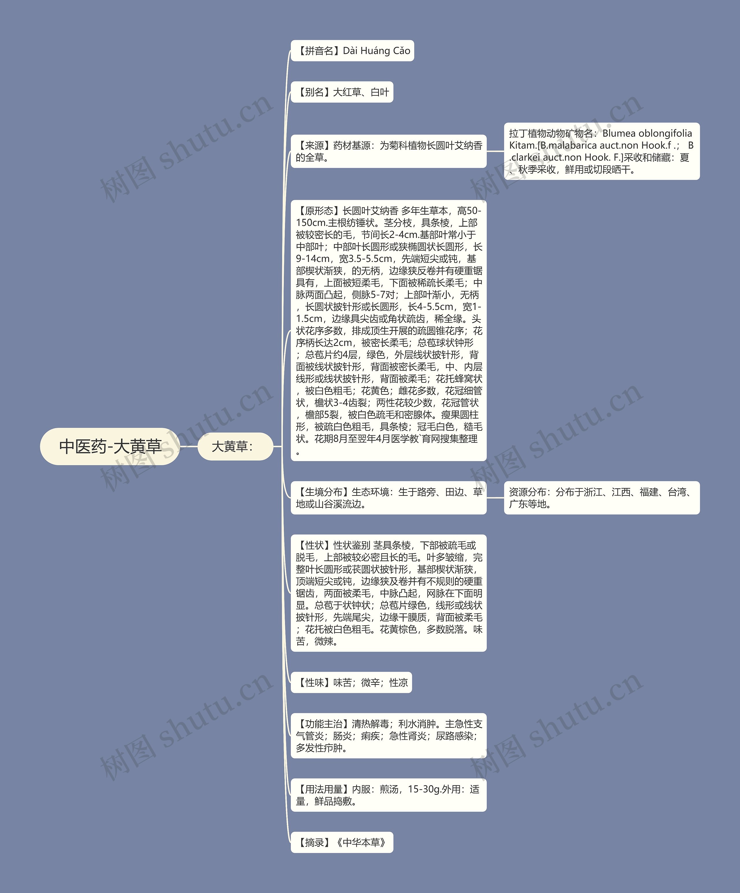 中医药-大黄草思维导图高清图 中医药-大黄草思维导图