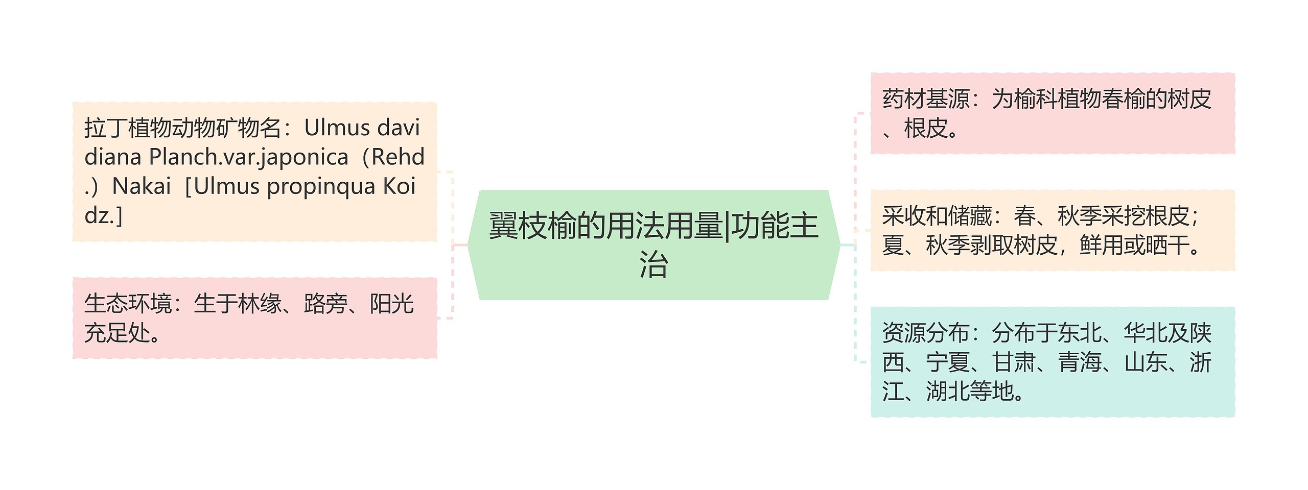 翼枝榆的用法用量|功能主治