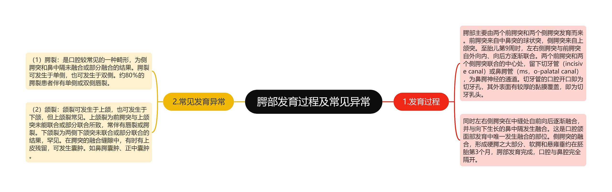 腭部发育过程及常见异常 腭部发育过程及常见异常