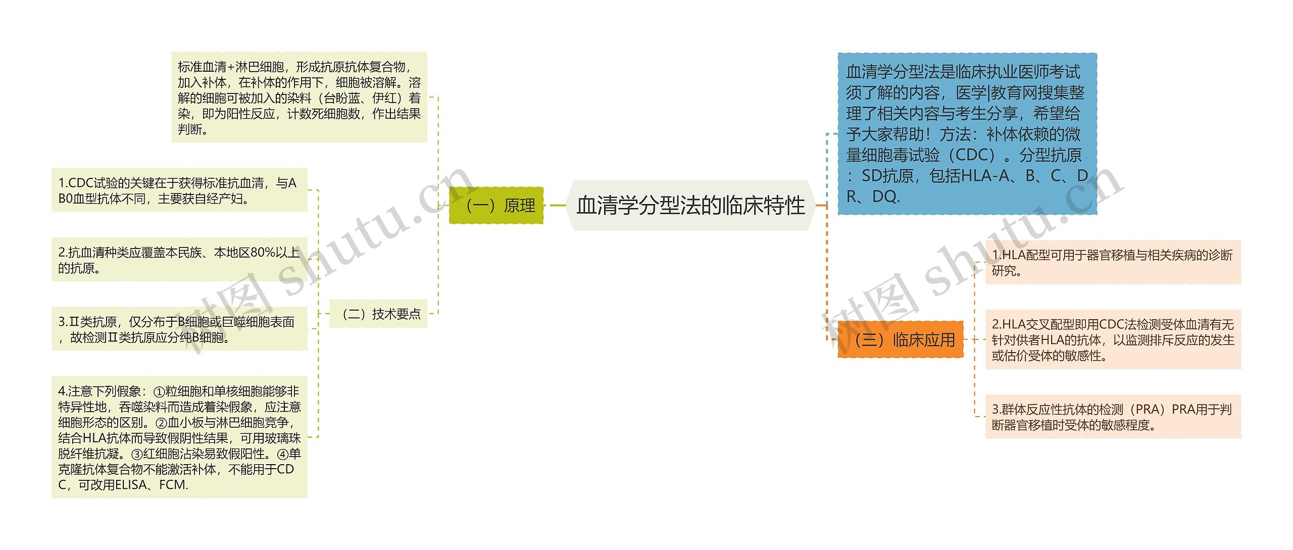 血清学分型法的临床特性思维导图