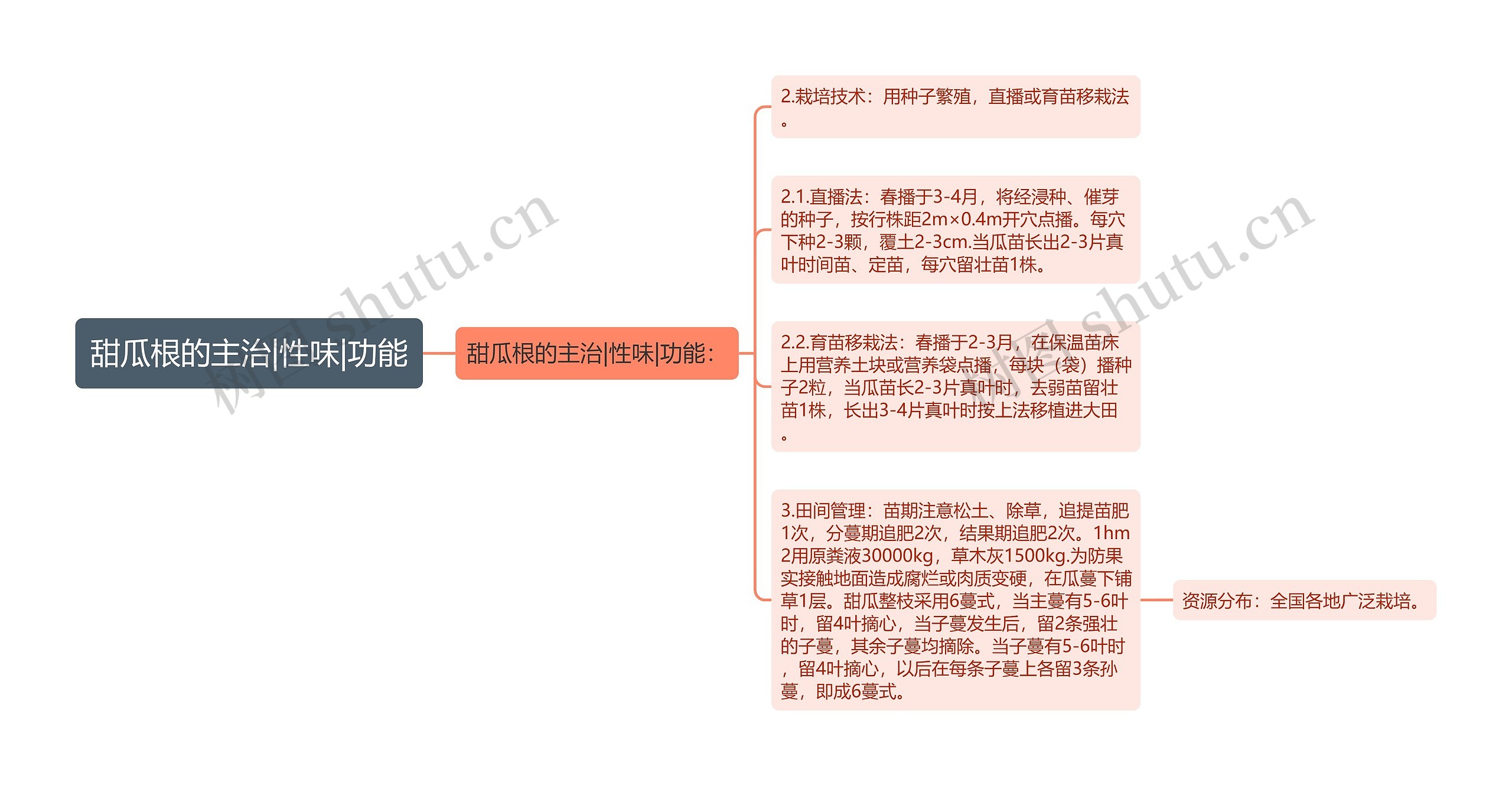 甜瓜根的主治|性味|功能思维导图