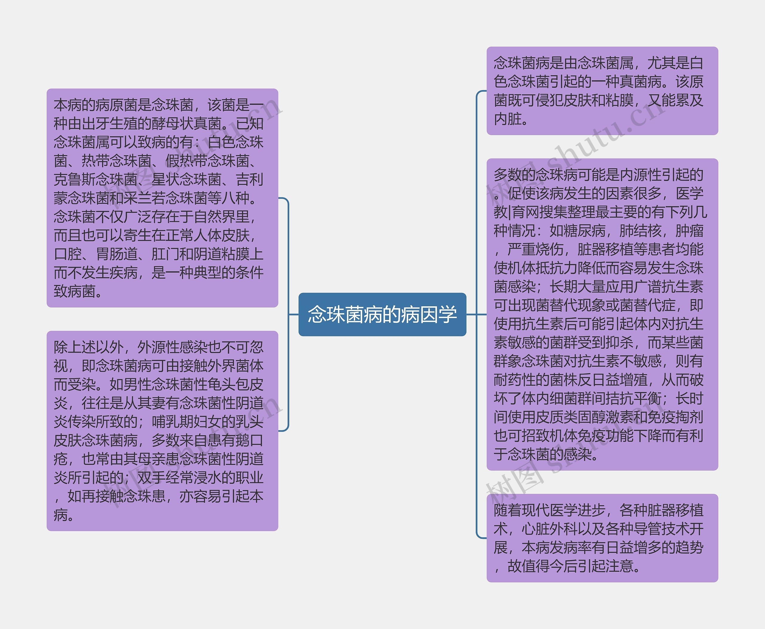 念珠菌病的病因学思维导图