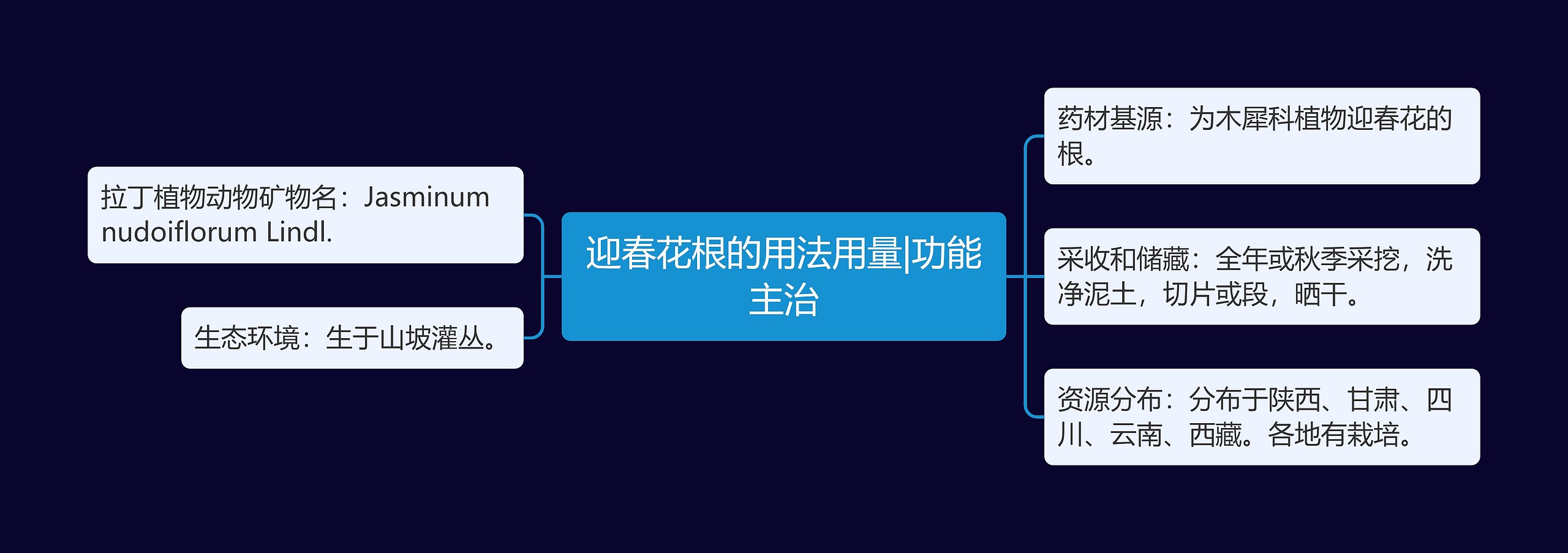 迎春花根的用法用量|功能主治 迎春花根的用法用量|功能主治