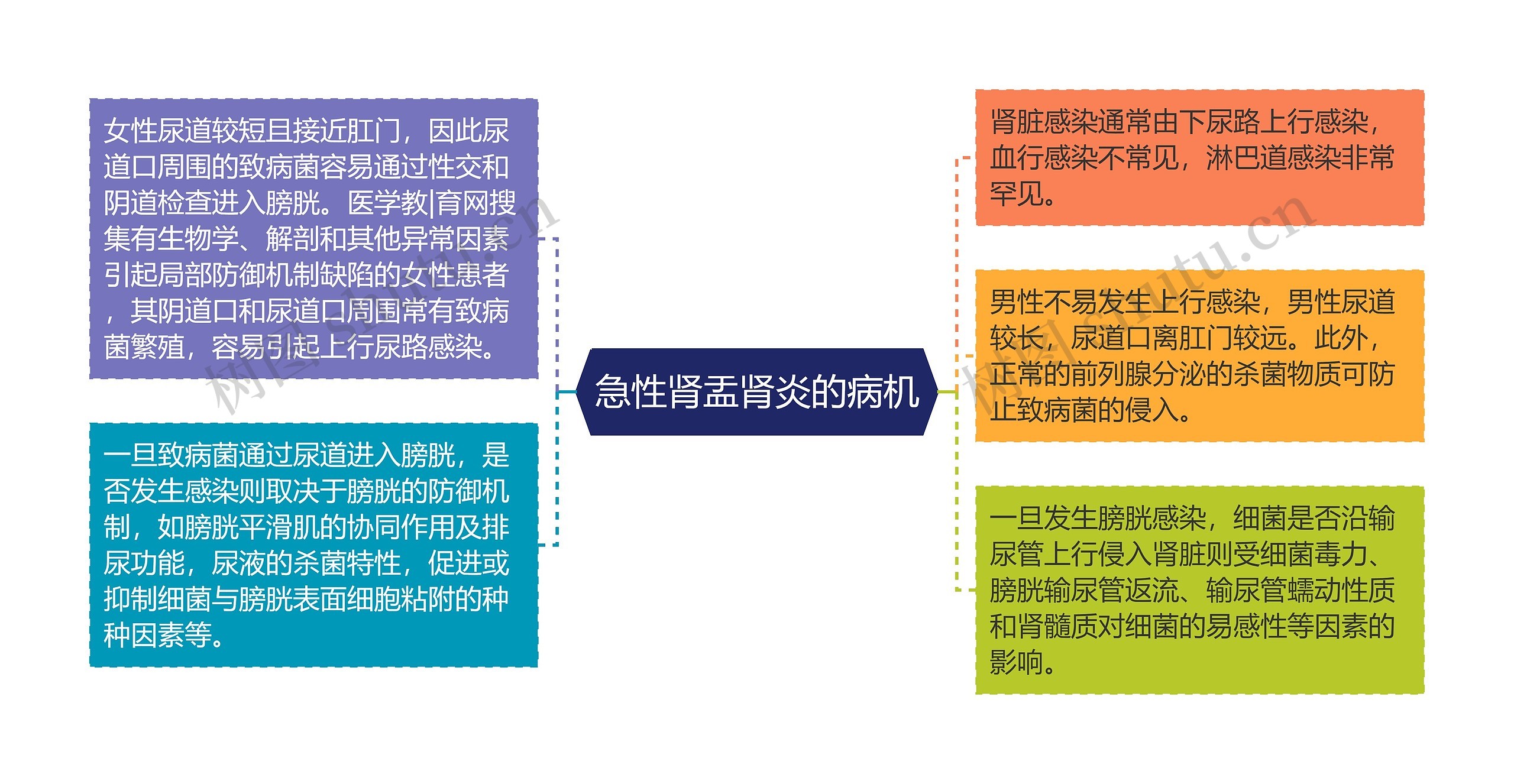 急性肾盂肾炎的病机