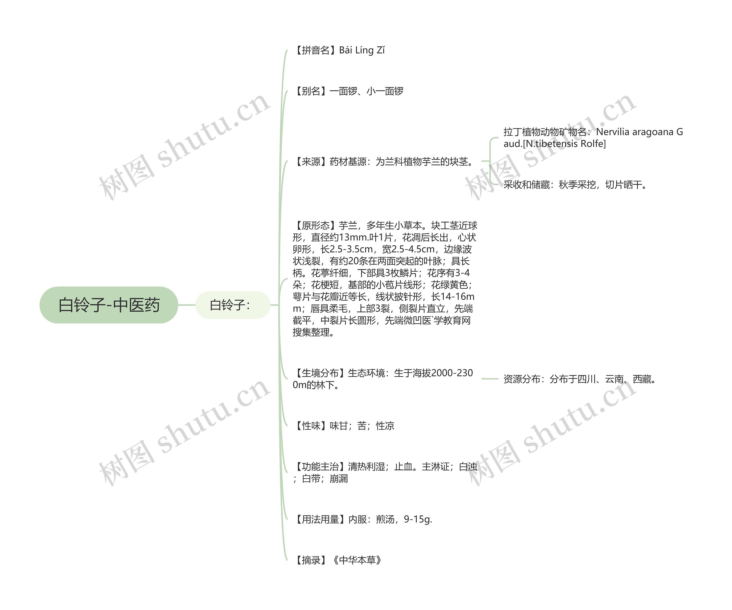 白铃子-中医药思维导图
