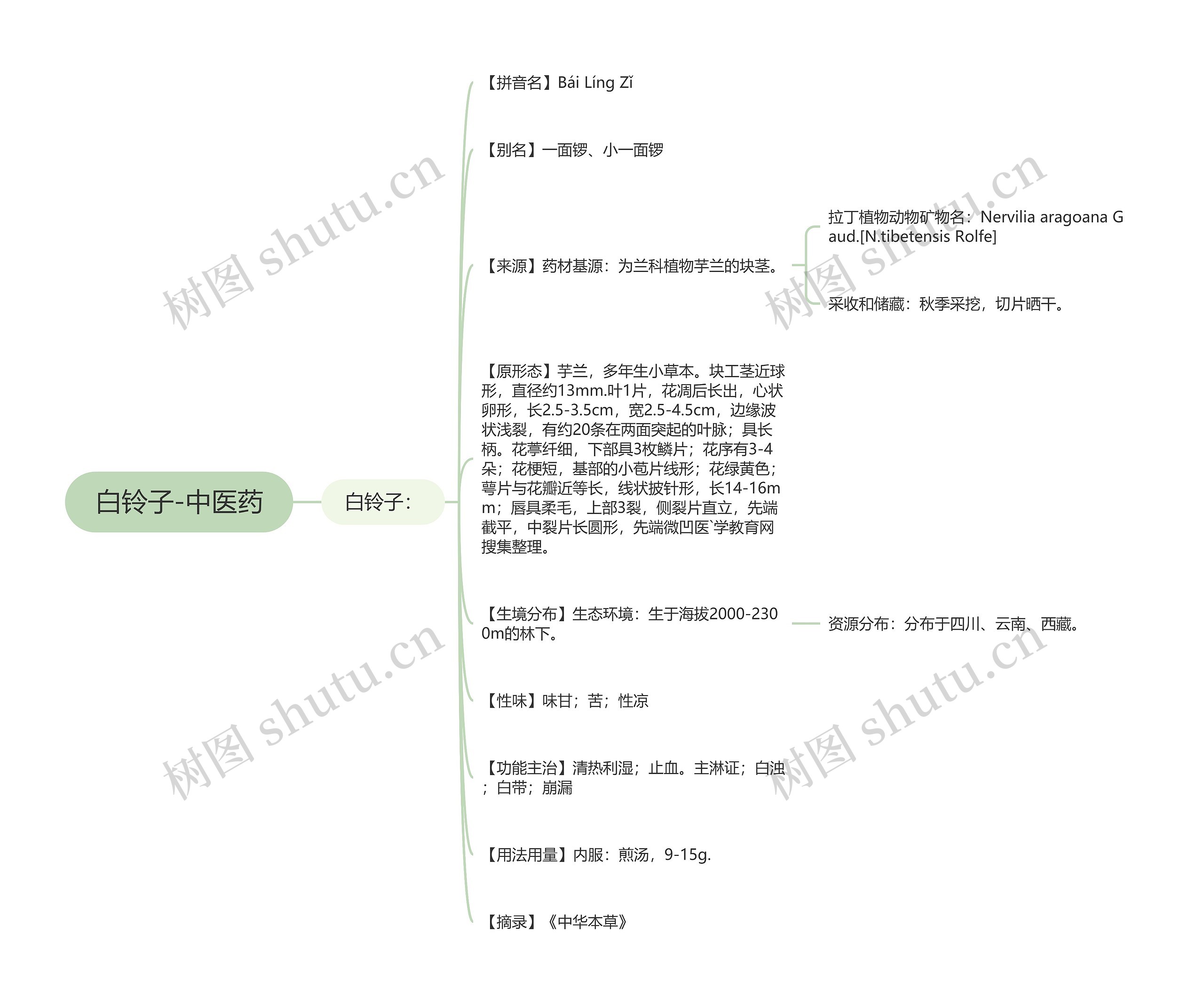 白铃子-中医药 白铃子-中医药