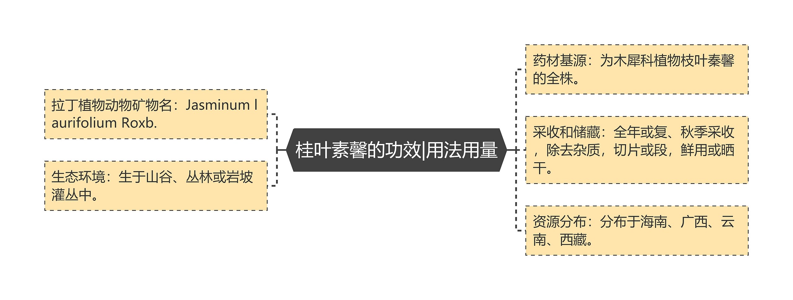 桂叶素馨的功效|用法用量