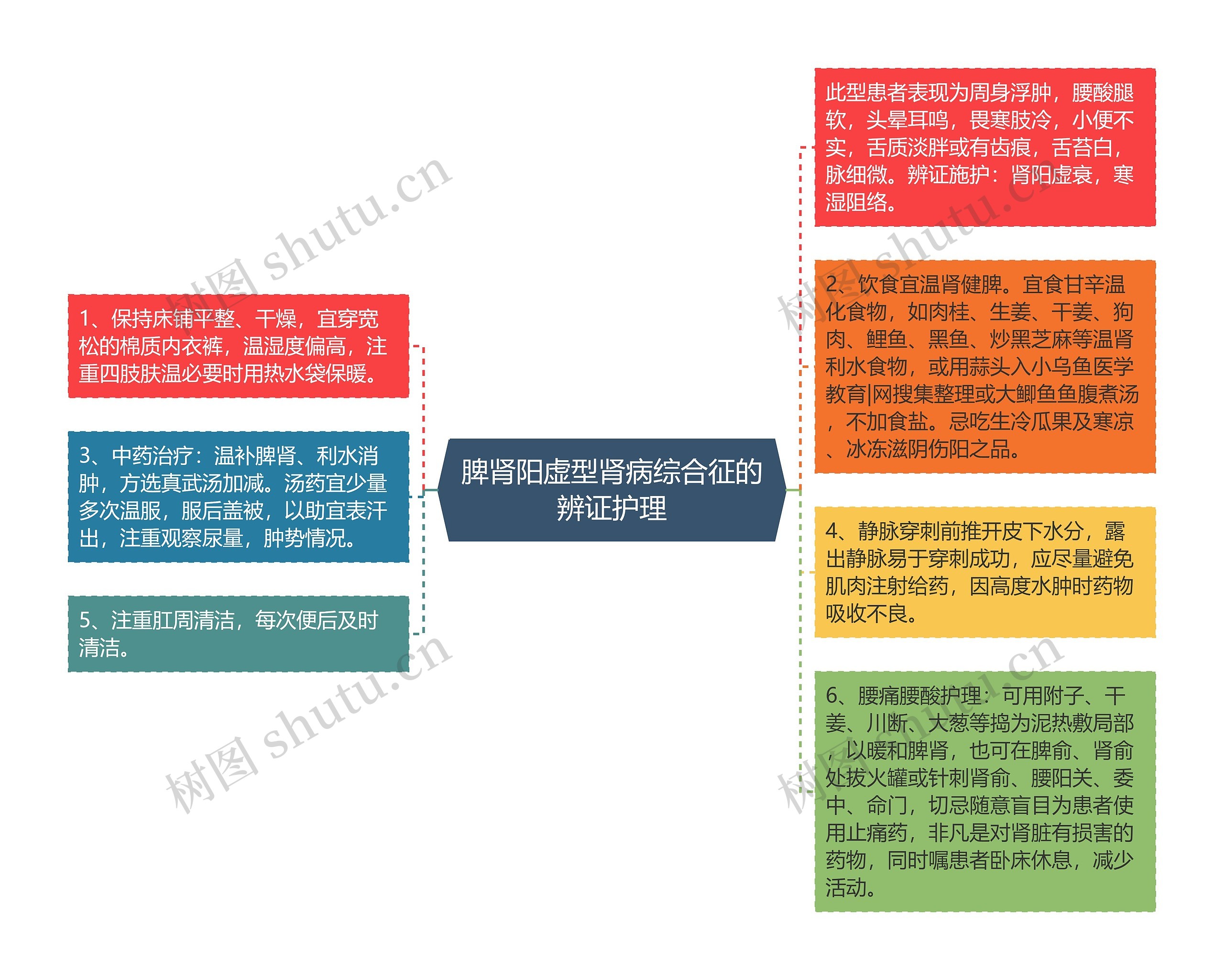 脾肾阳虚型肾病综合征的辨证护理思维导图