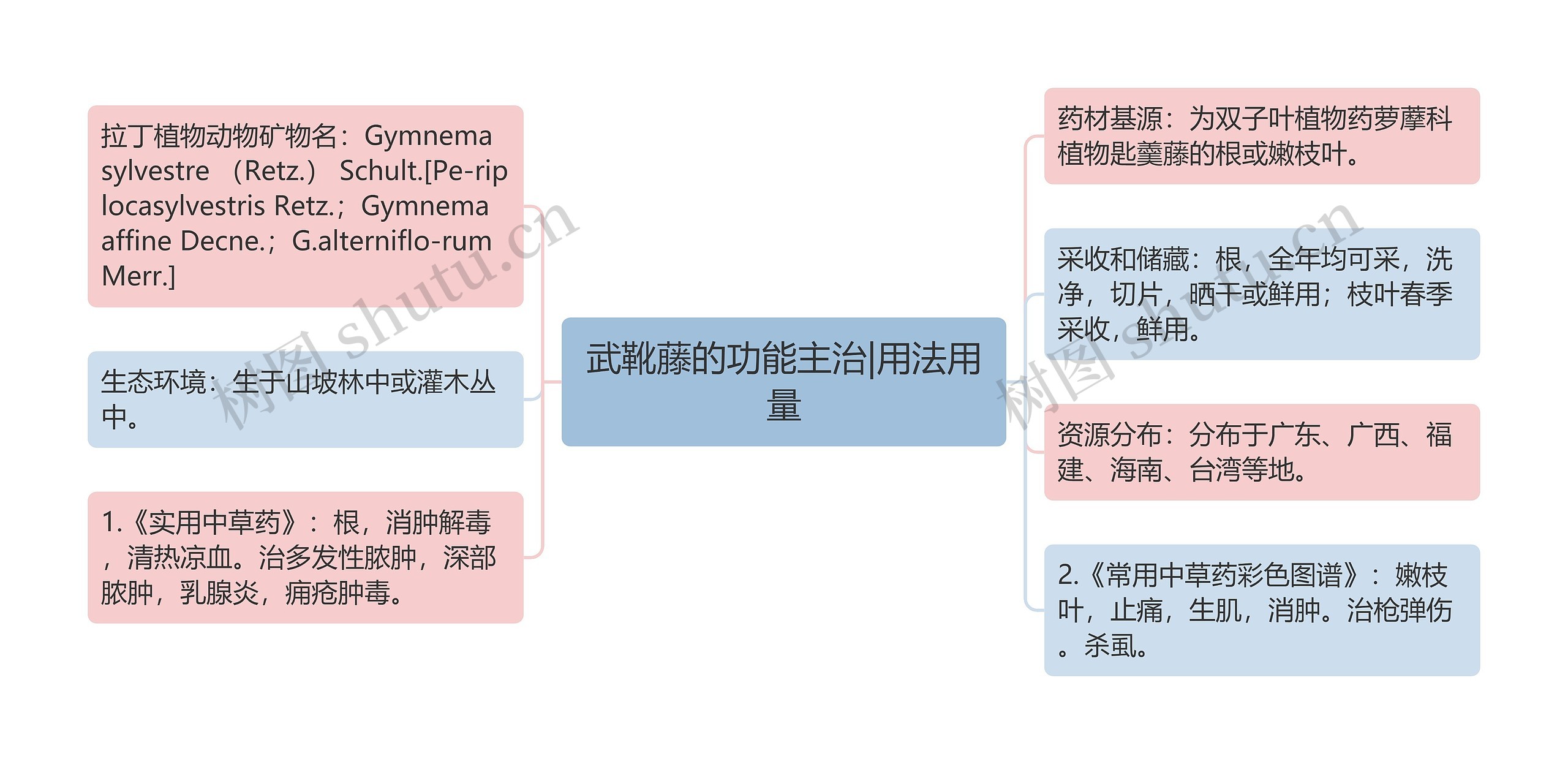 武靴藤的功能主治|用法用量