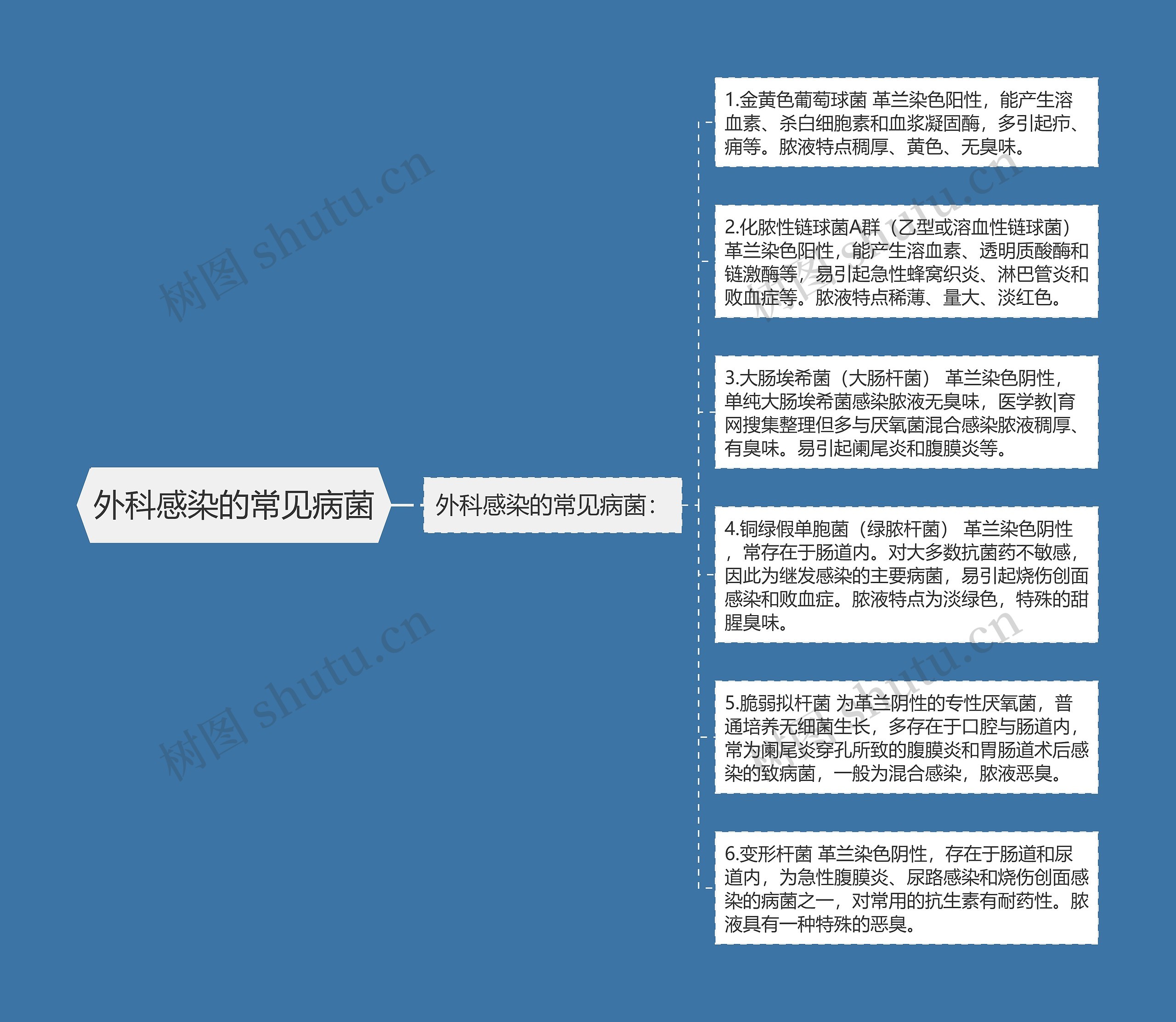 外科感染的常见病菌思维导图