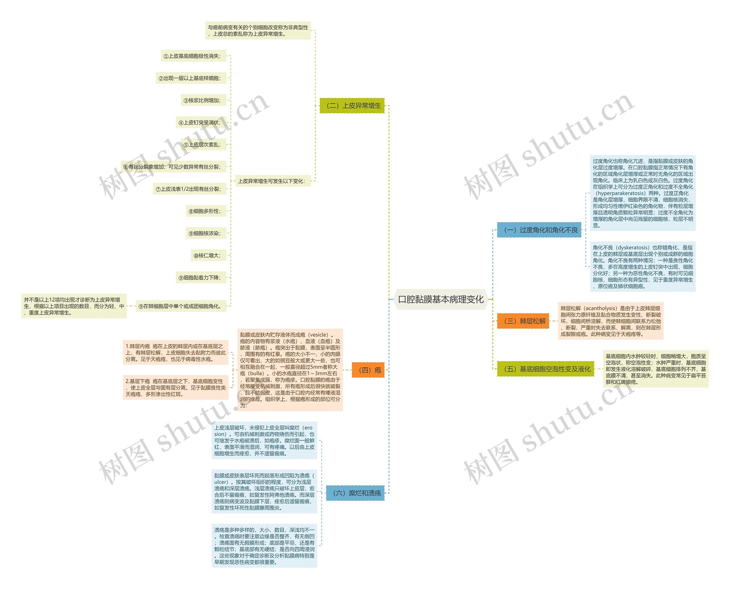 口腔黏膜基本病理变化思维导图
