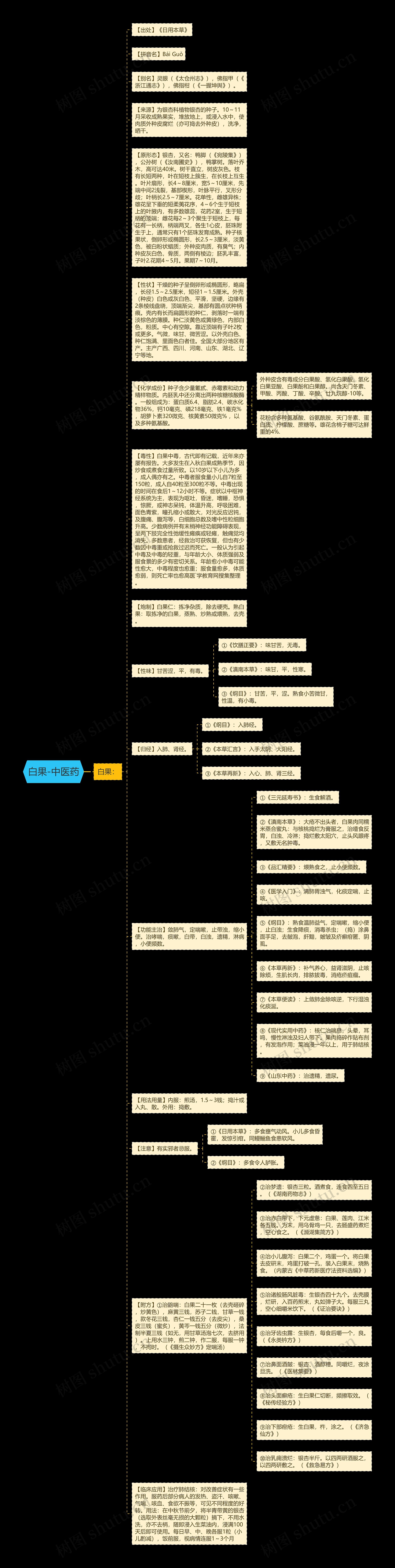白果-中医药思维导图
