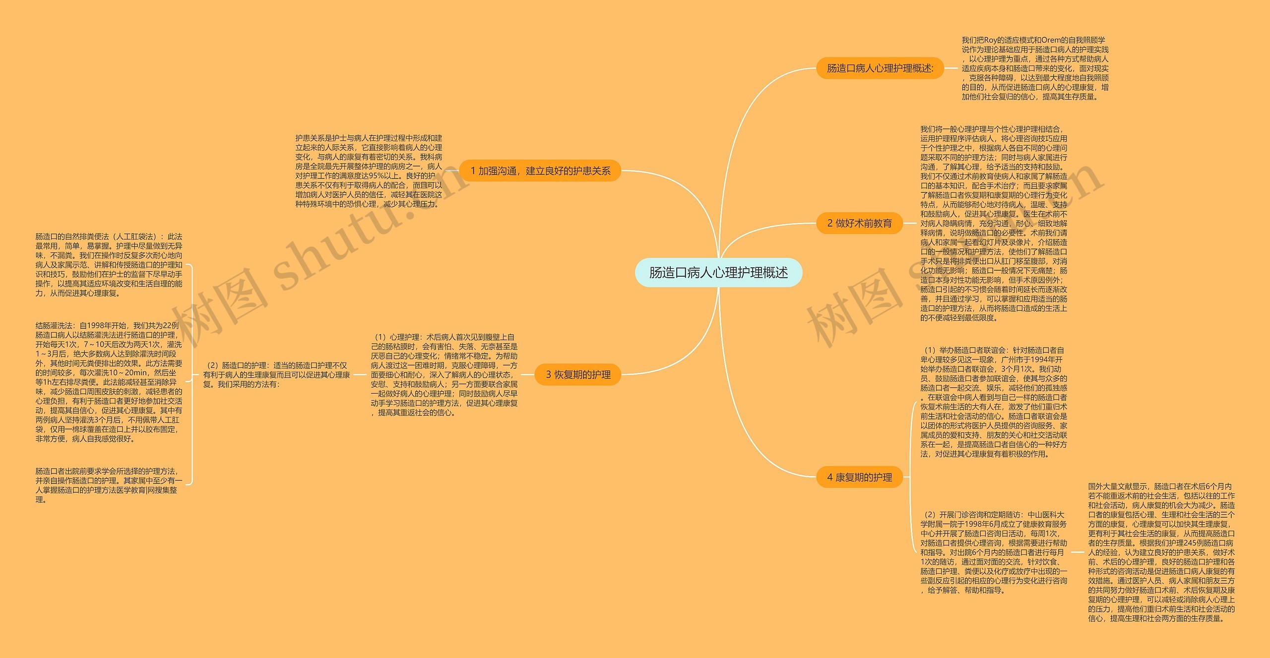 肠造口病人心理护理概述思维导图