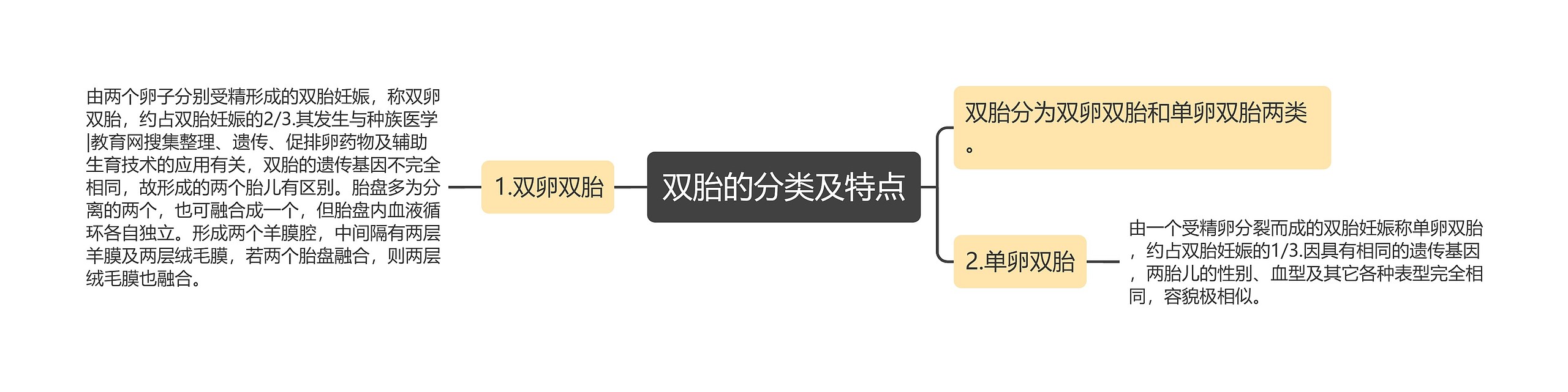 双胎的分类及特点