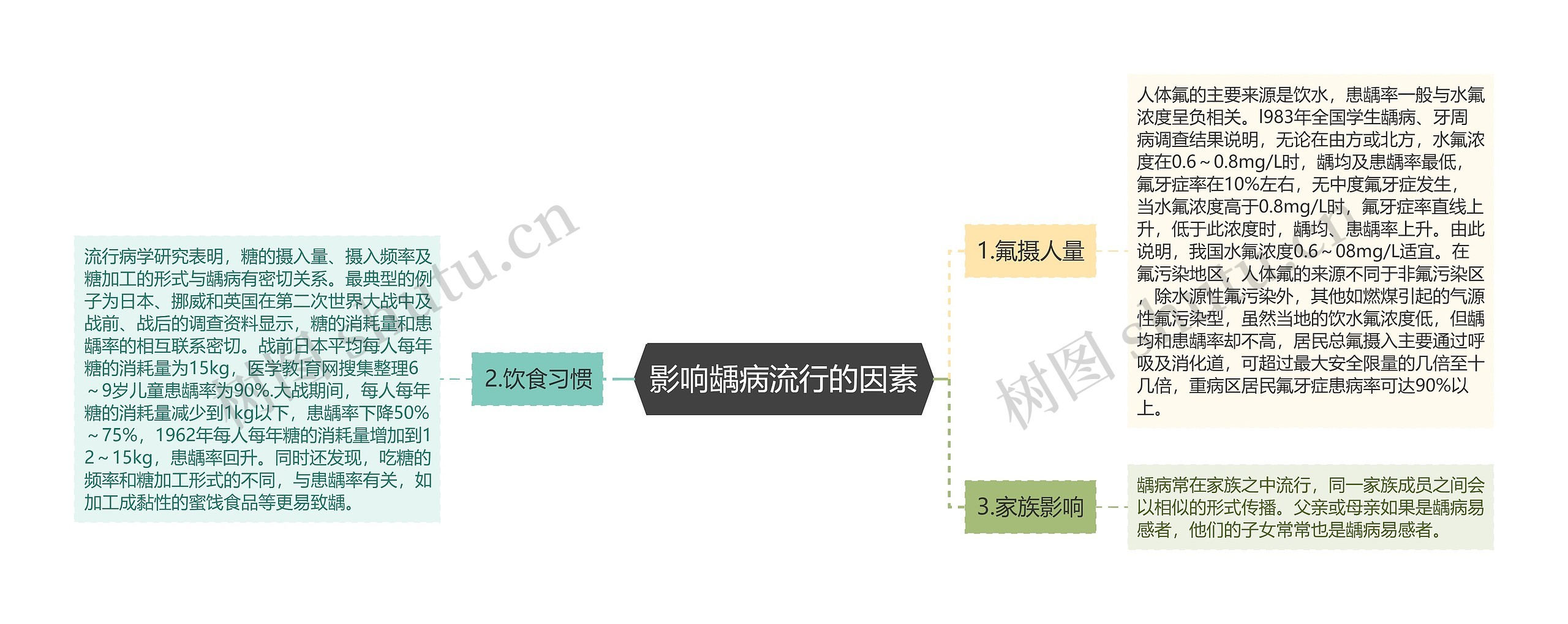 影响龋病流行的因素