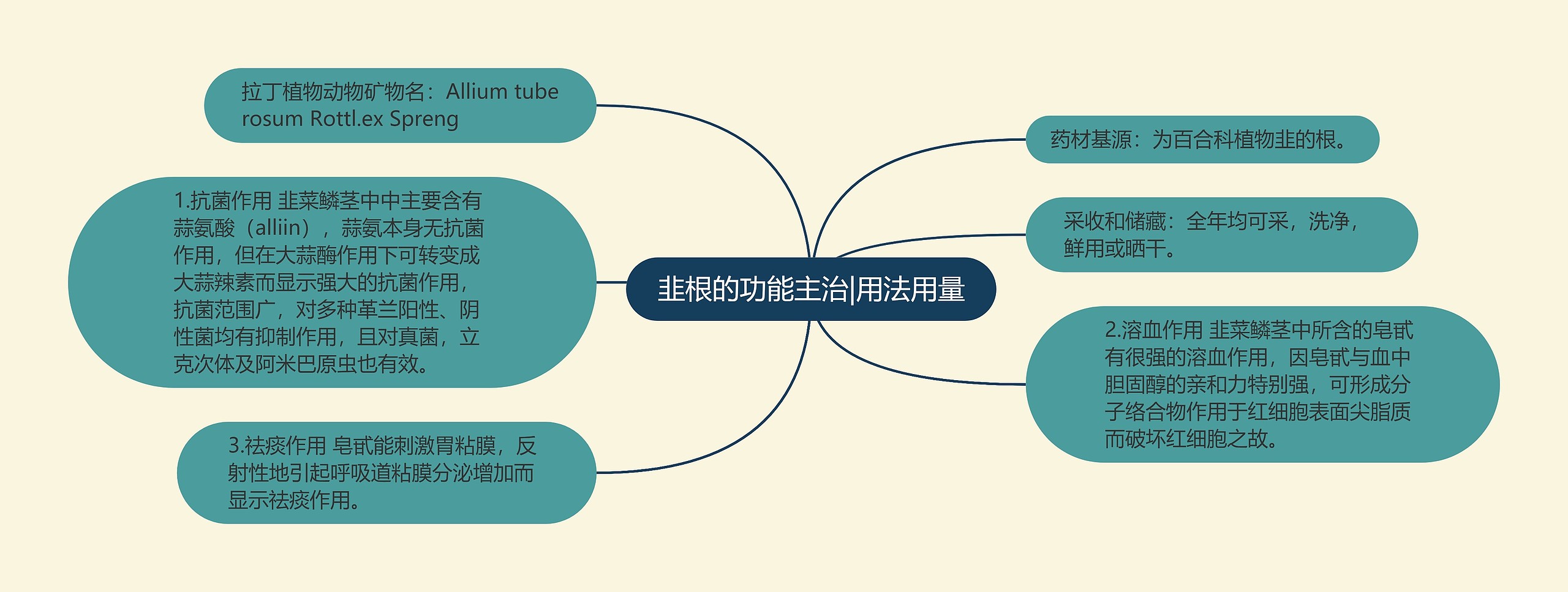 韭根的功能主治|用法用量思维导图