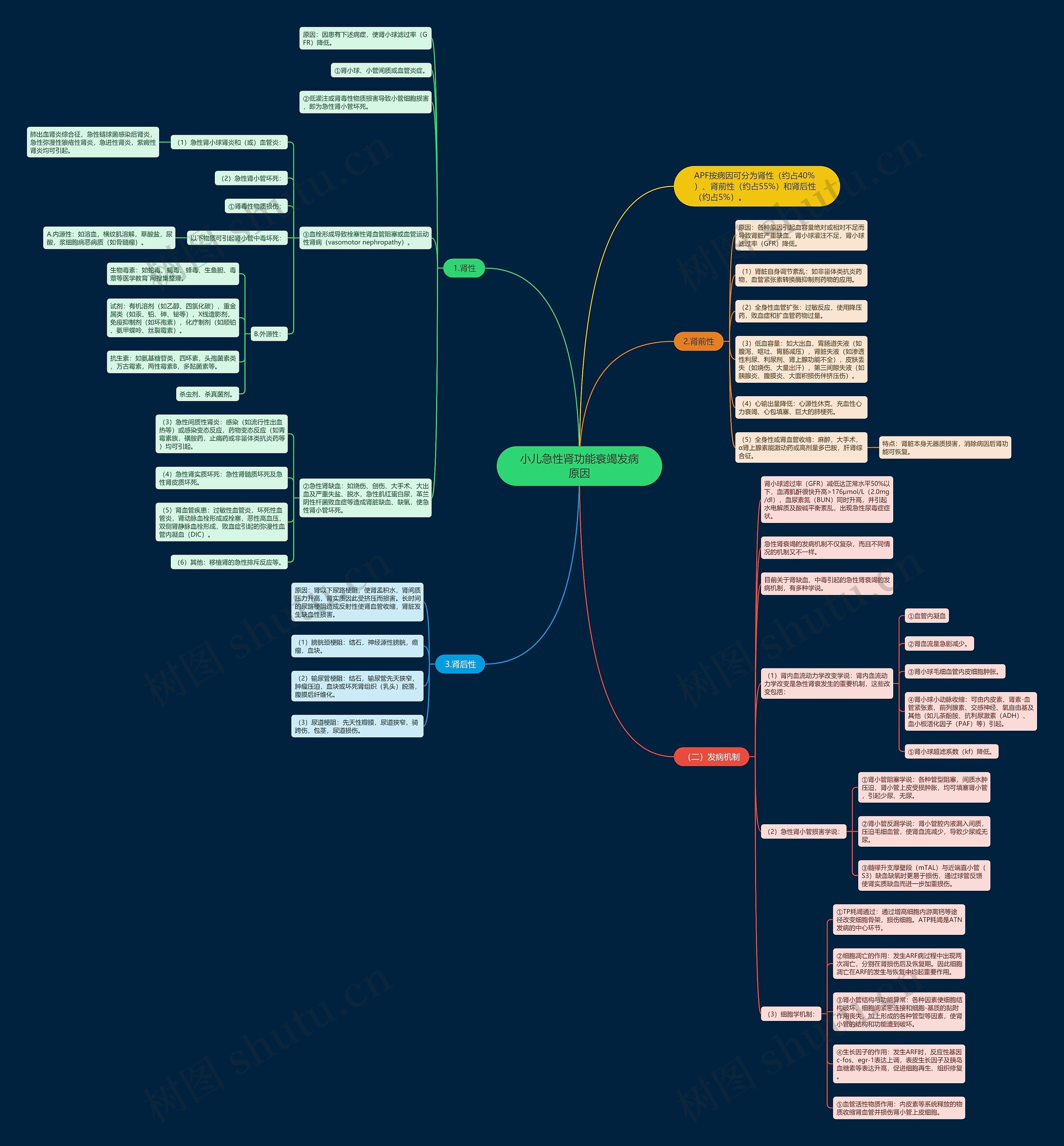 小儿急性肾功能衰竭发病原因思维导图