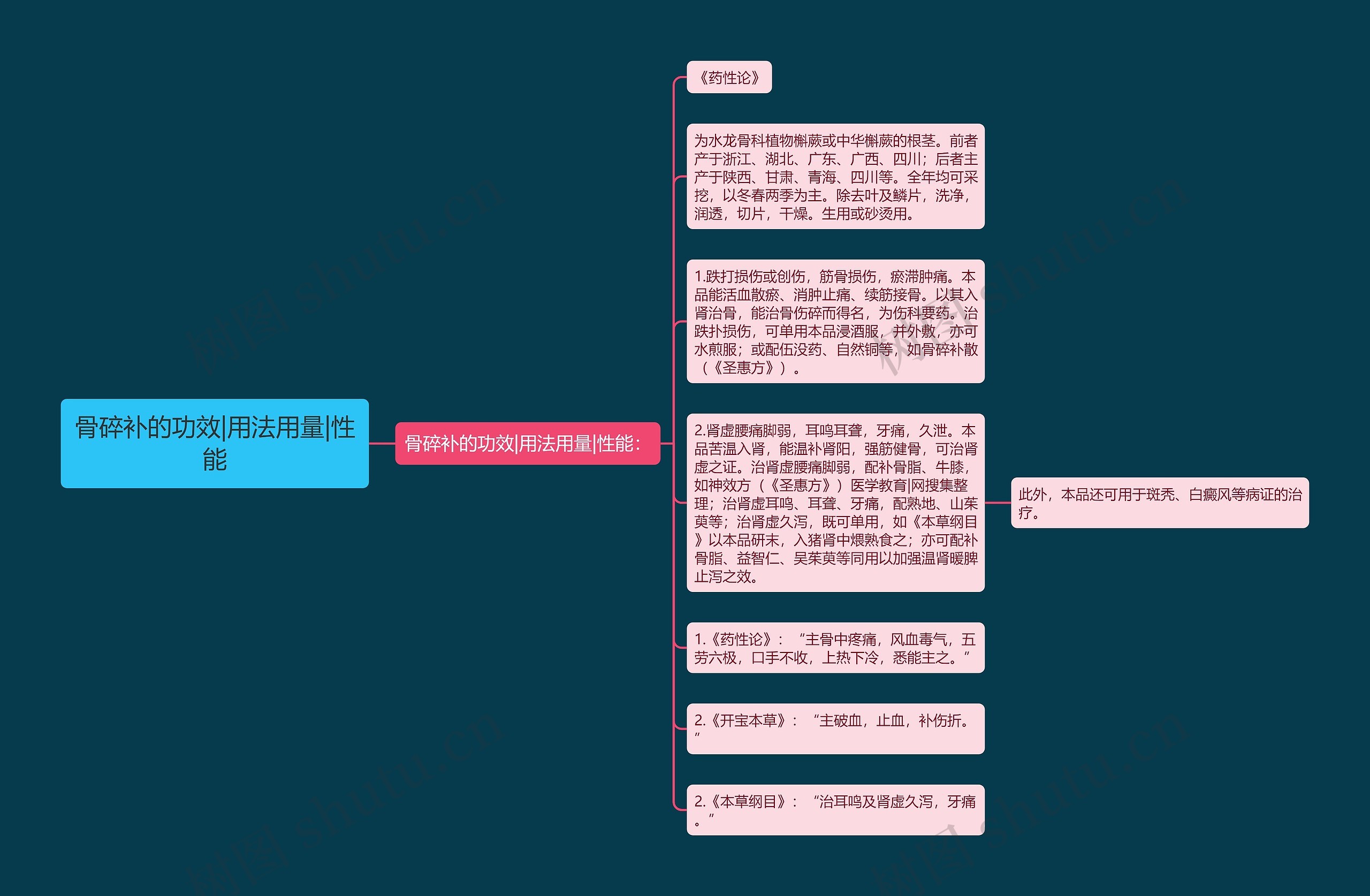 骨碎补的功效|用法用量|性能