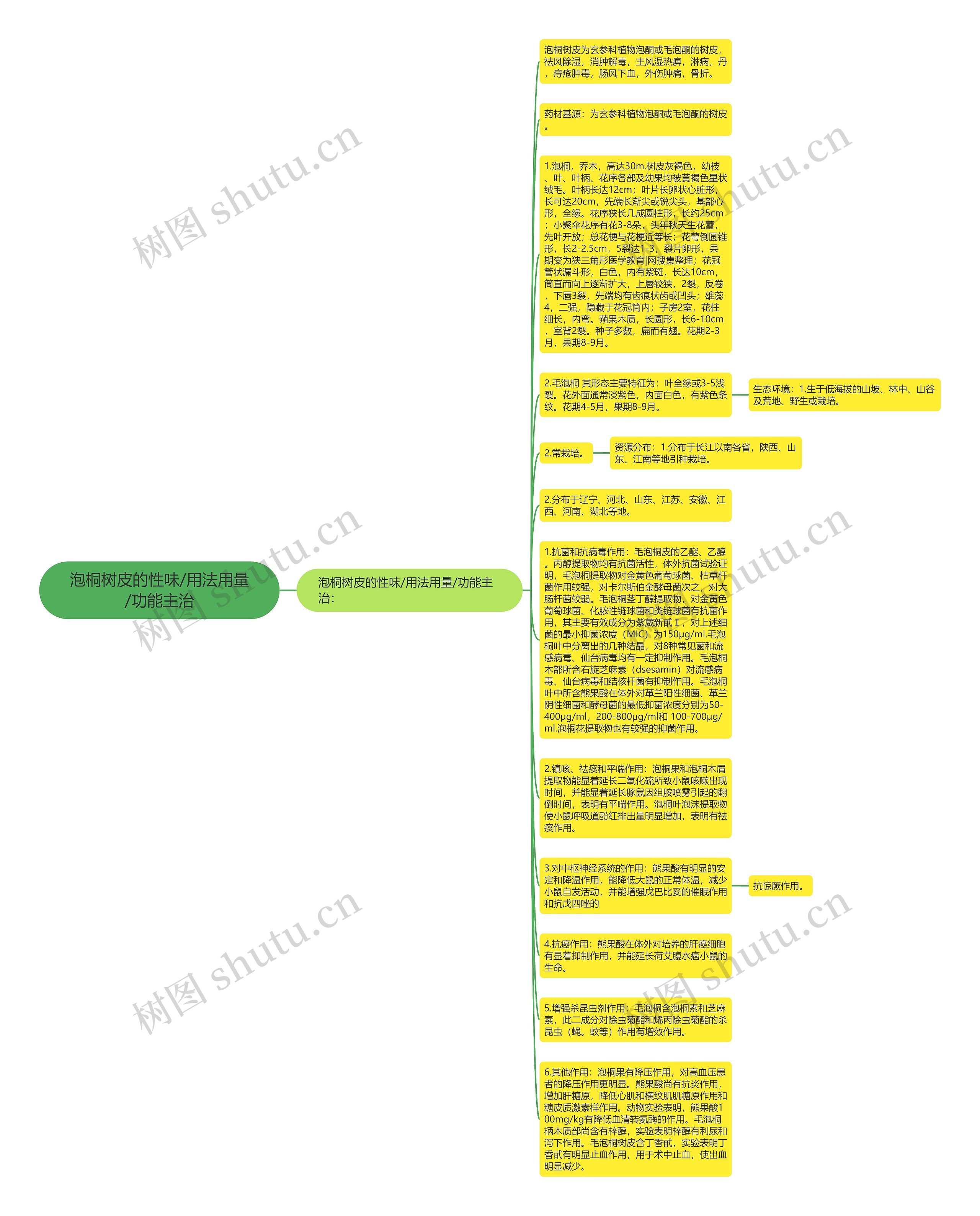 泡桐树皮的性味/用法用量/功能主治思维导图