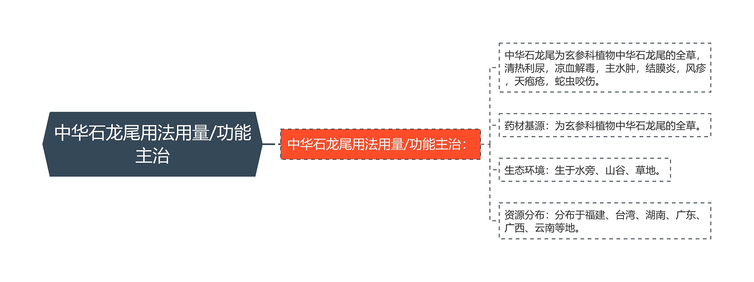 中华石龙尾用法用量/功能主治思维导图