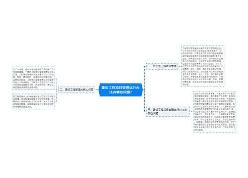 建设工程项目管理试行办法有哪些问题?