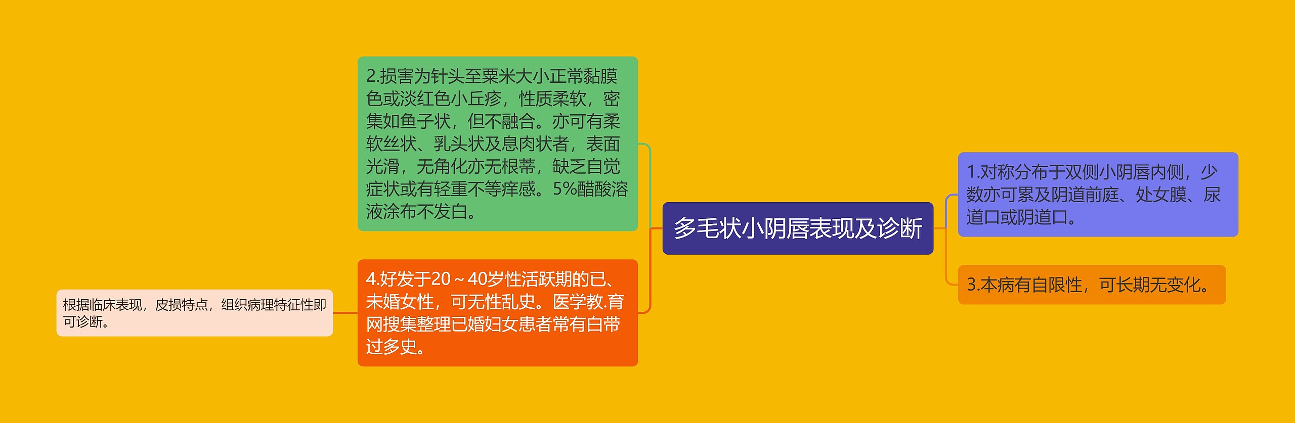 多毛状小阴唇表现及诊断