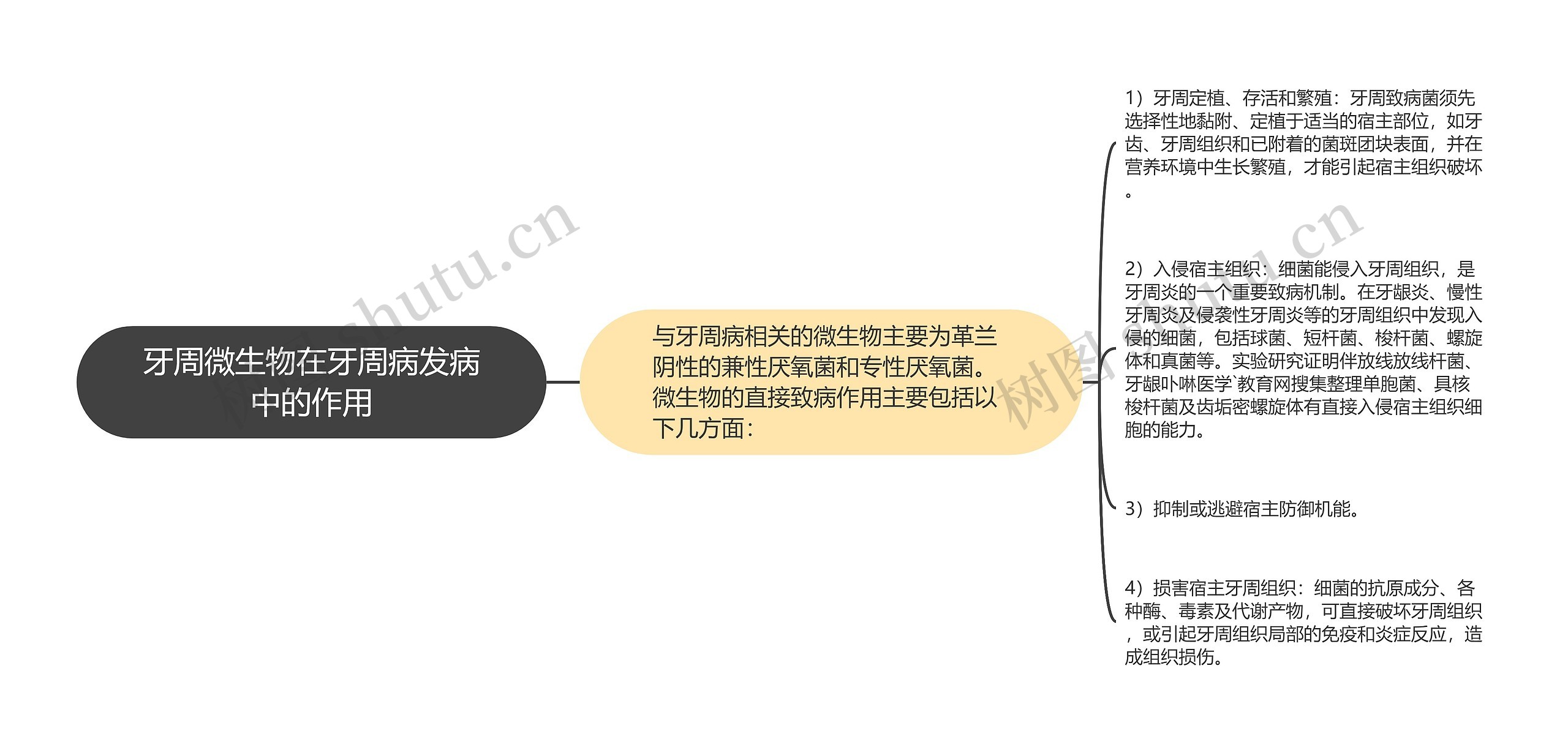 牙周微生物在牙周病发病中的作用思维导图