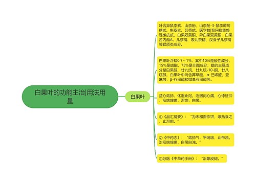 白果叶的功能主治|用法用量