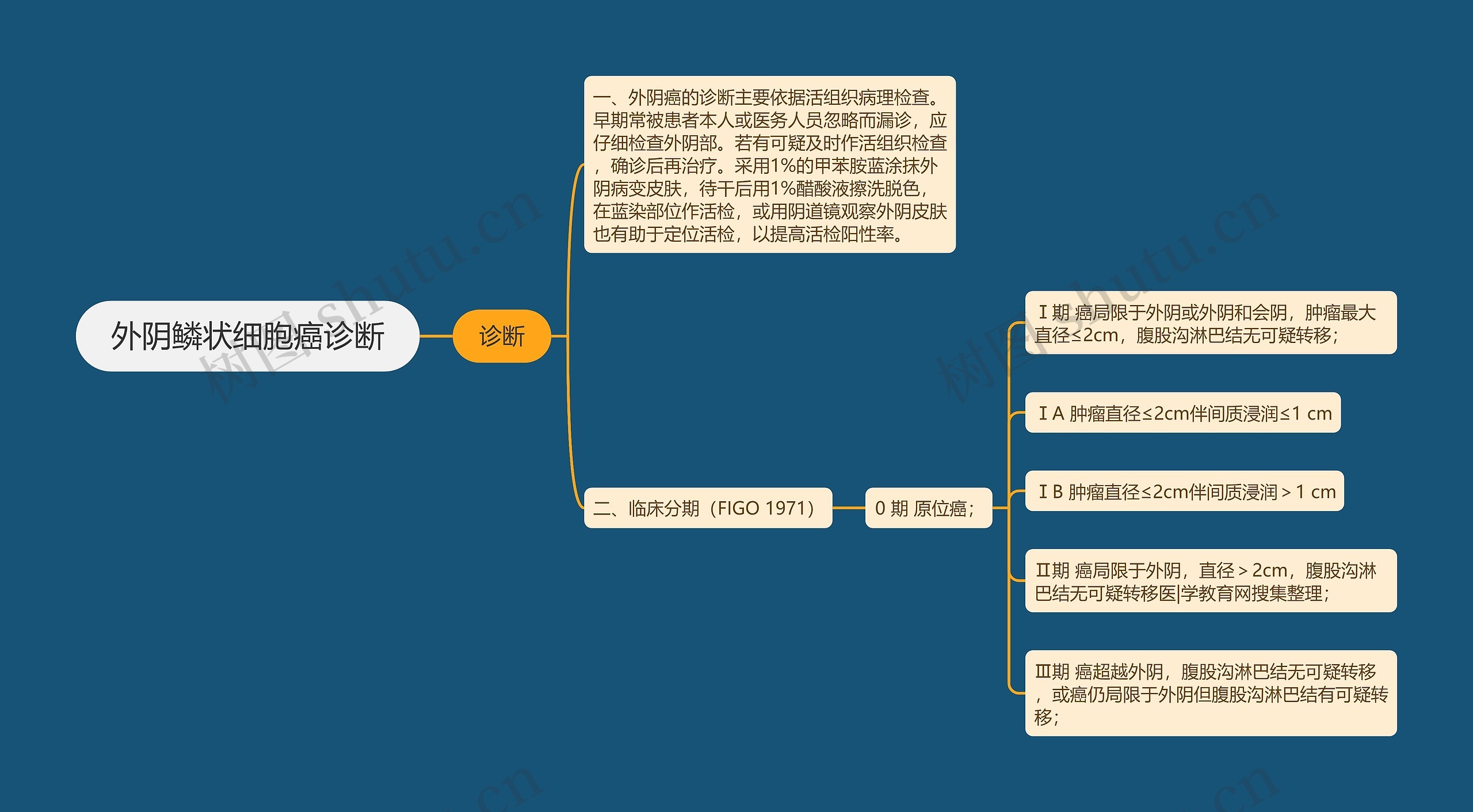 外阴鳞状细胞癌诊断思维导图